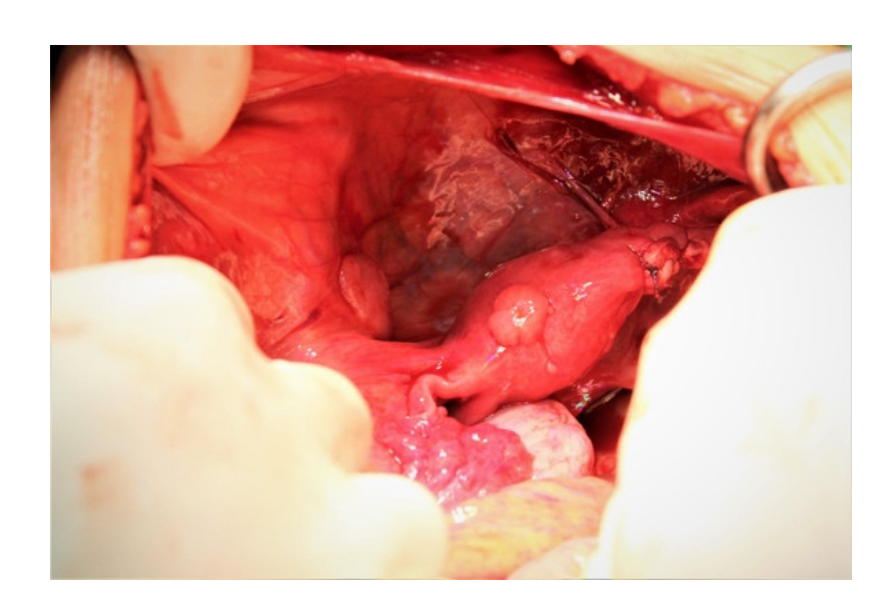 Diagnostics 12 02050 g002 550