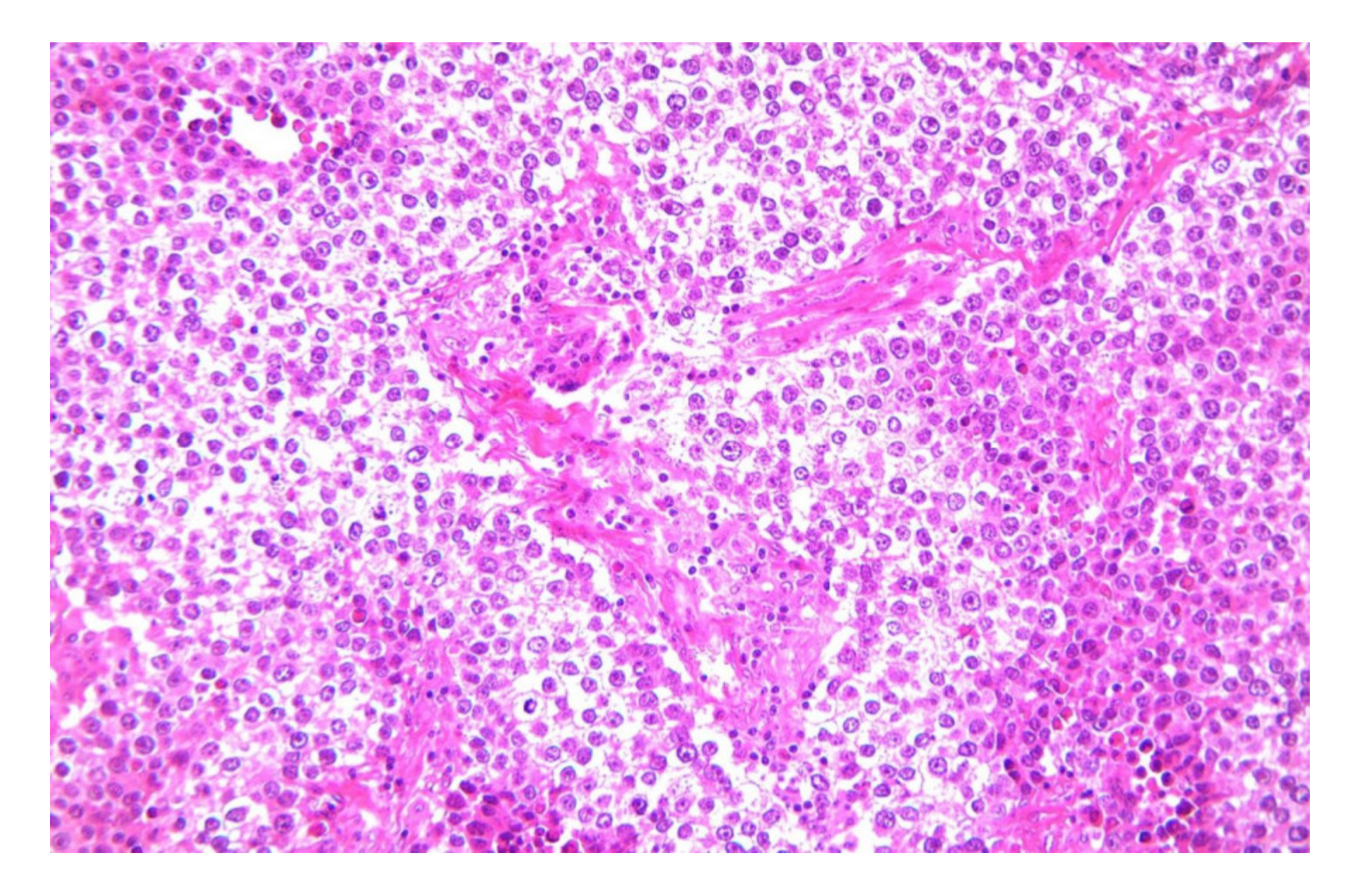 Diagnostics 12 02050 g003 550