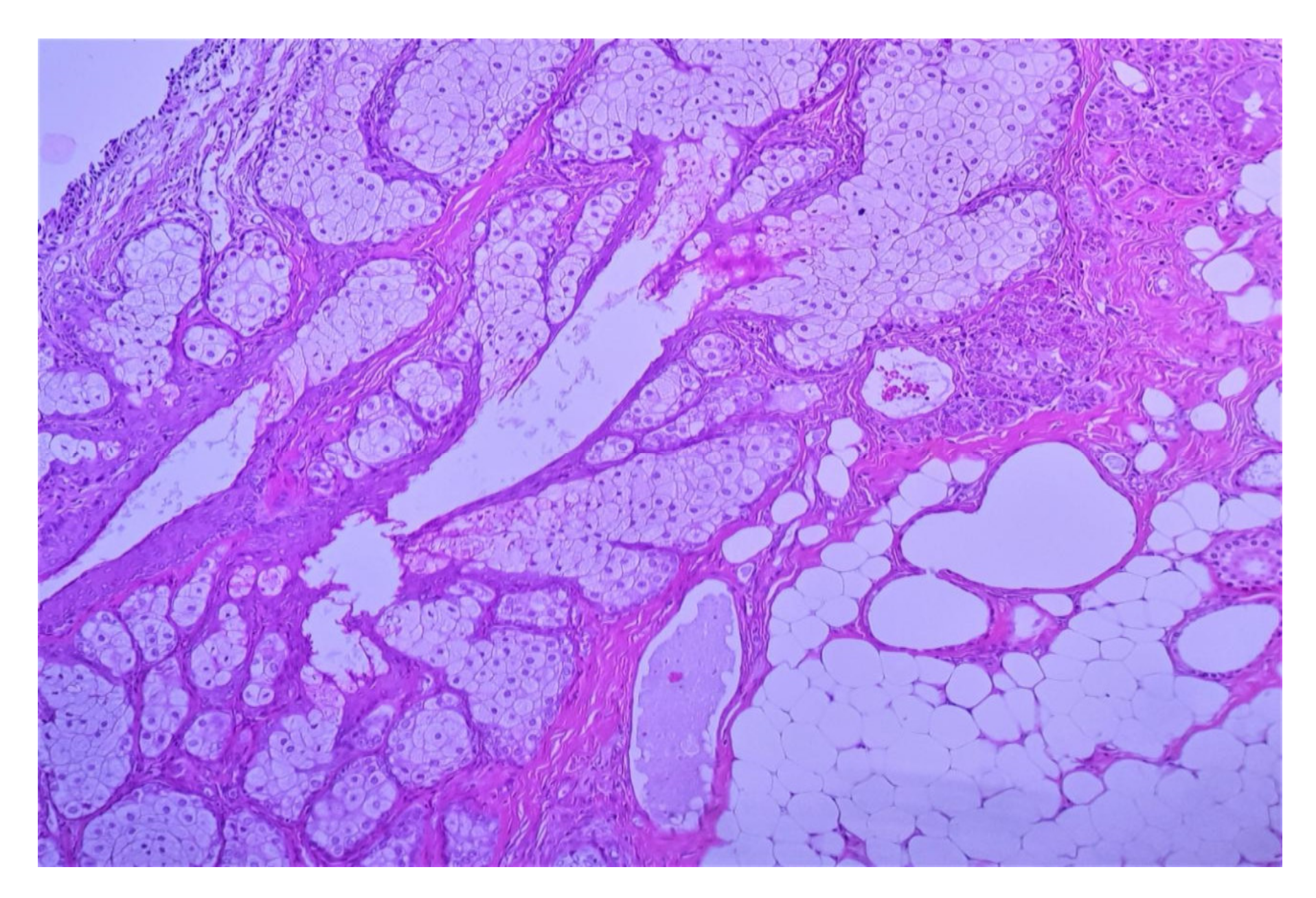 Diagnostics 12 02050 g006 550