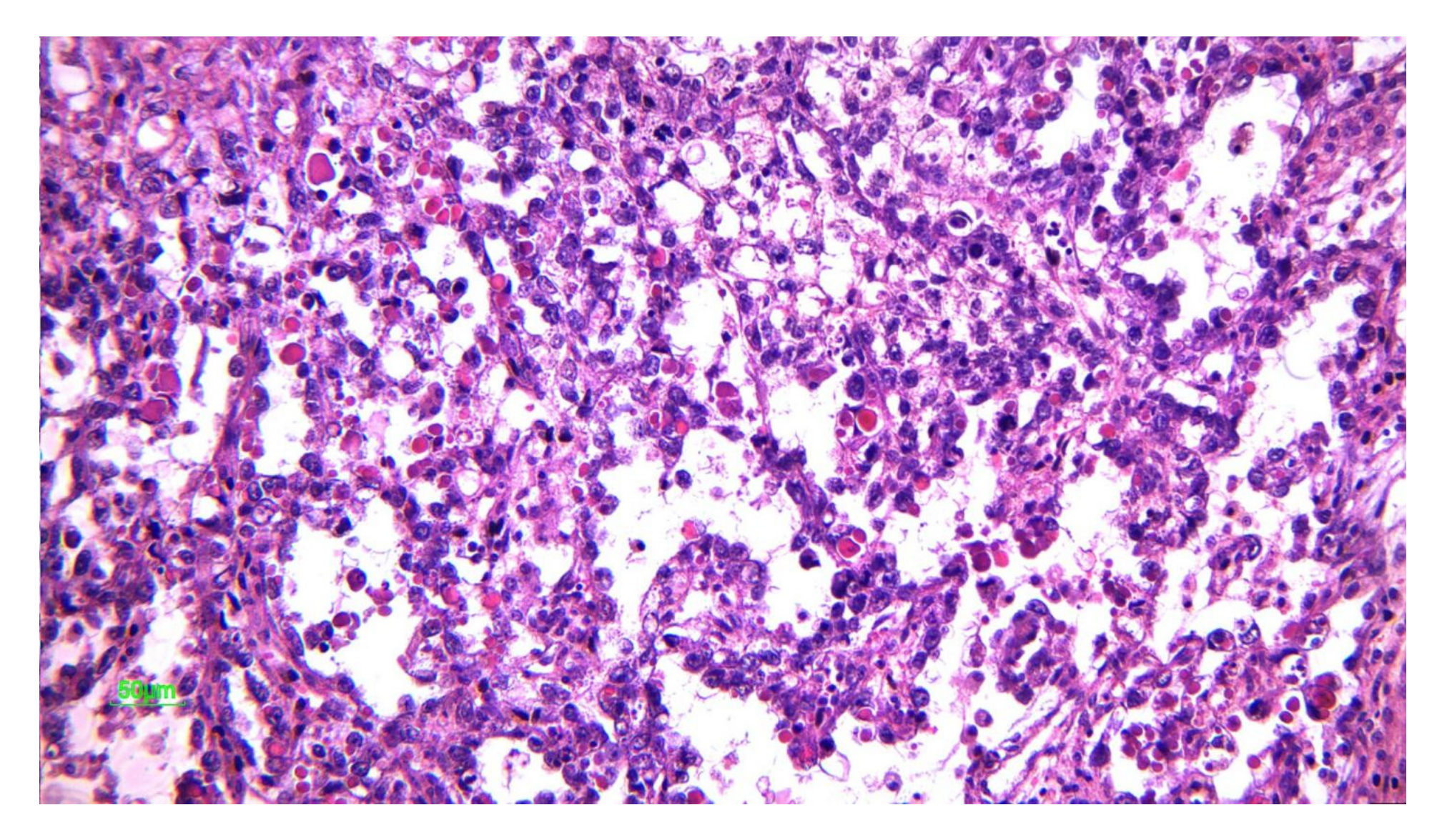 Diagnostics 12 02050 g009 550