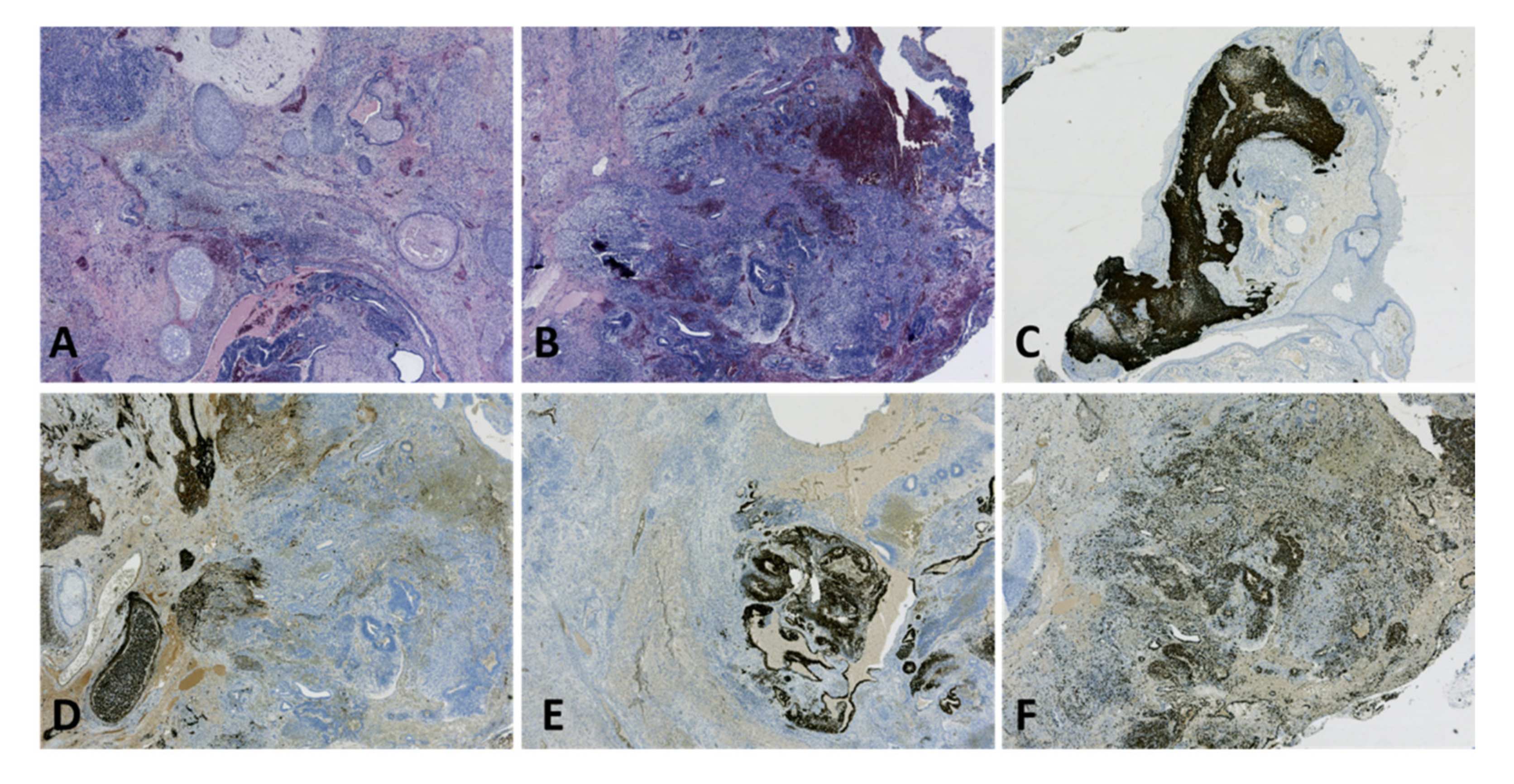 Diagnostics 12 02050 g012 550