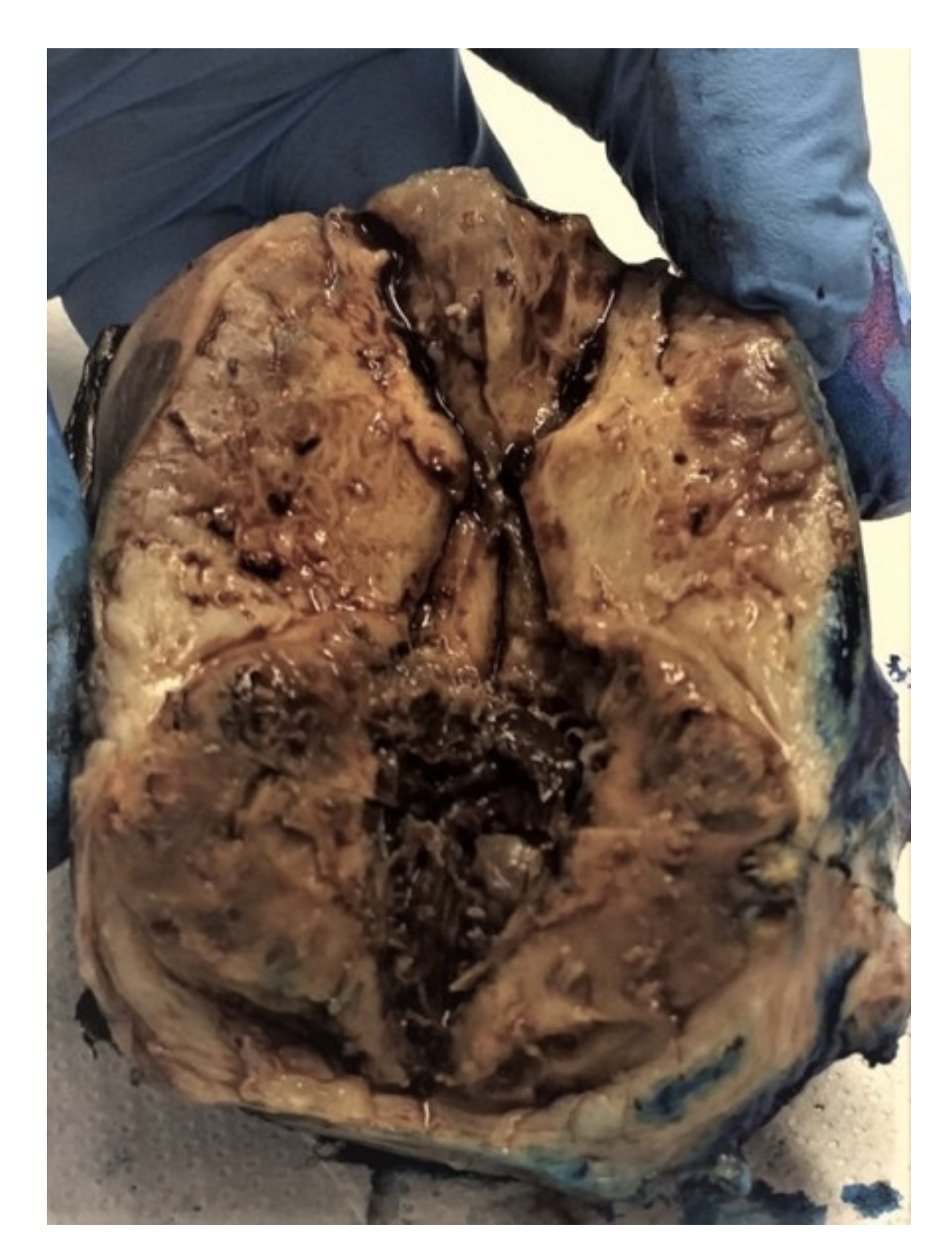 Diagnostics 12 02050 g013 550