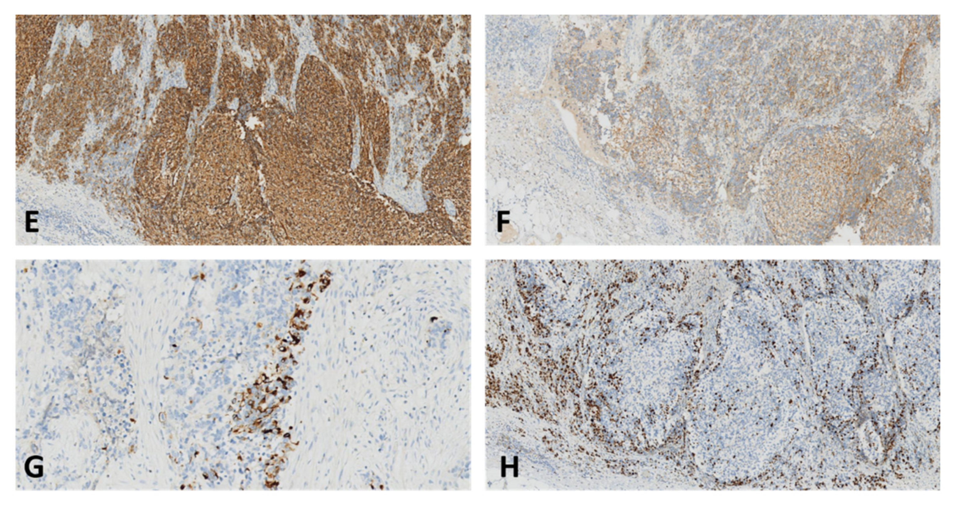 Diagnostics 12 02050 g014b 550