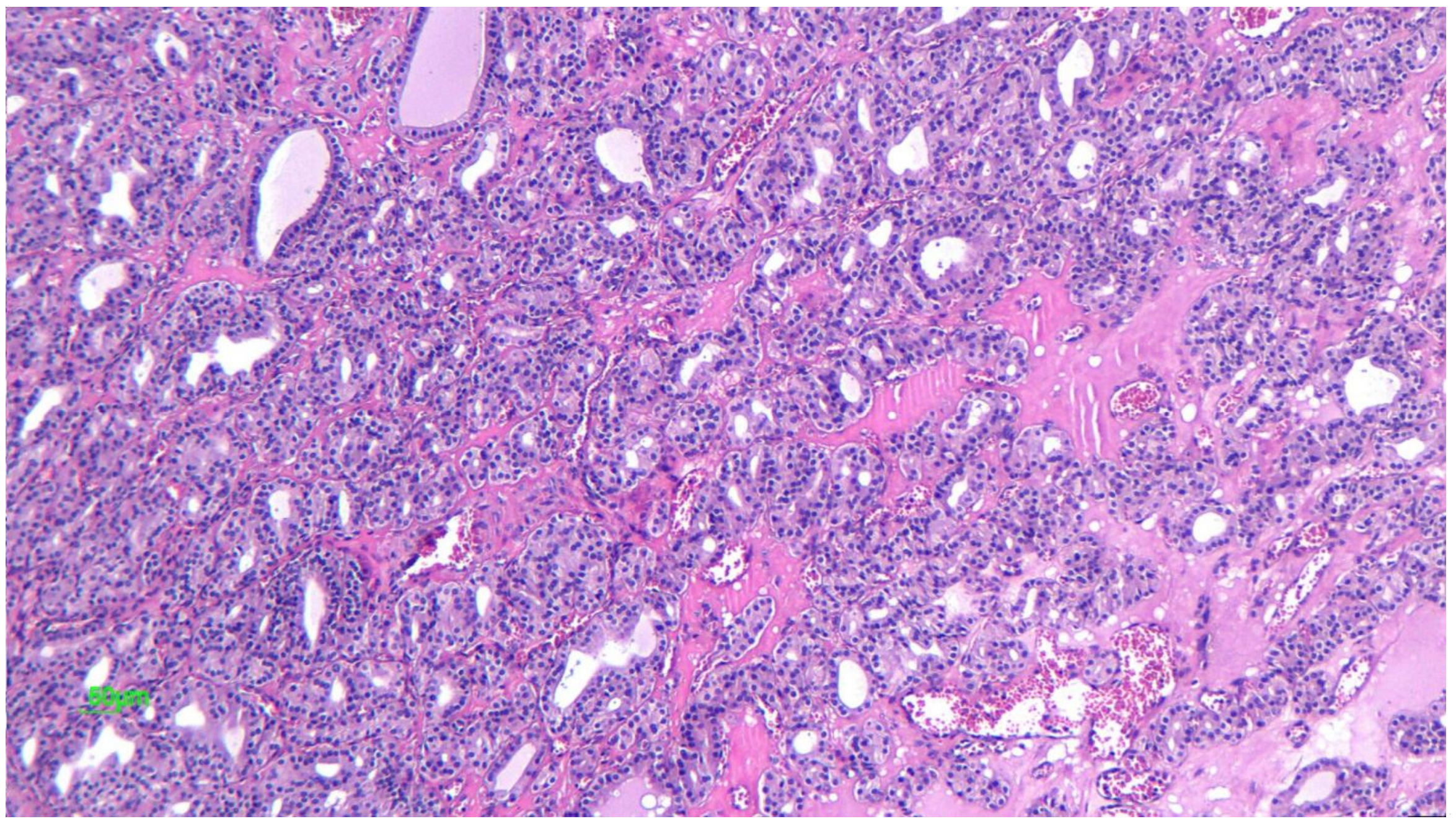 Diagnostics 12 02050 g016 550