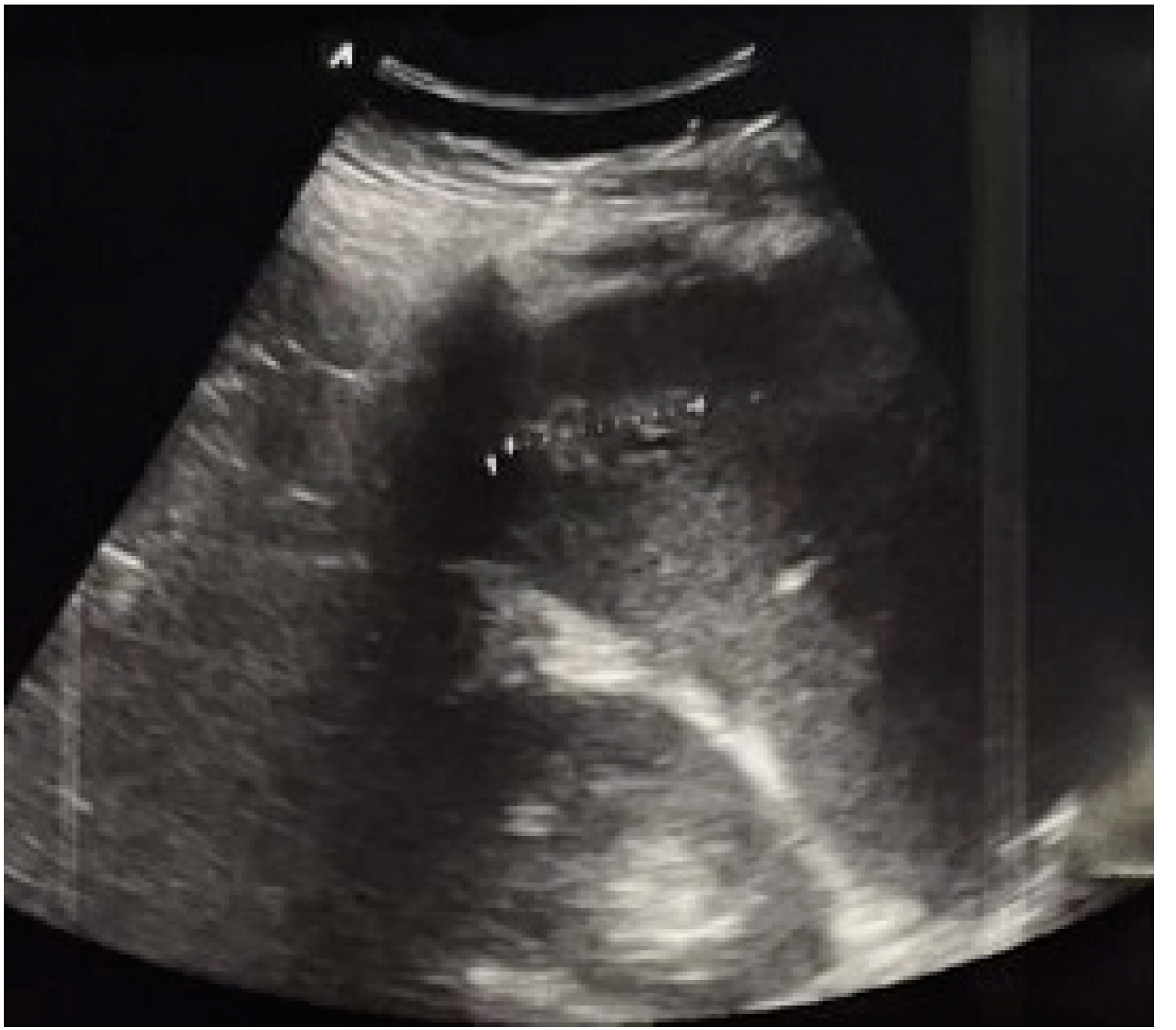 Diagnostics 12 02052 g002