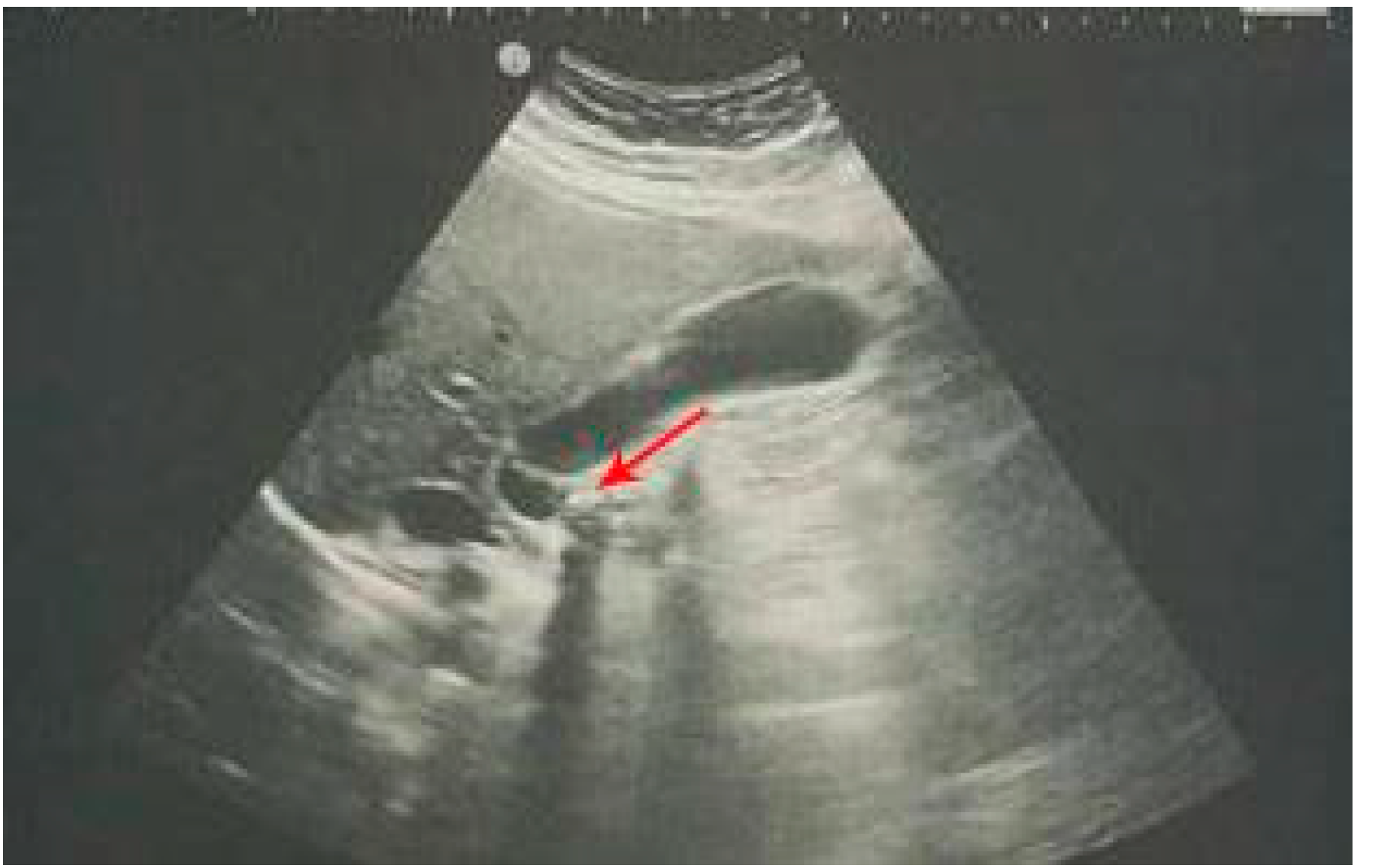 Diagnostics 12 02052 g003