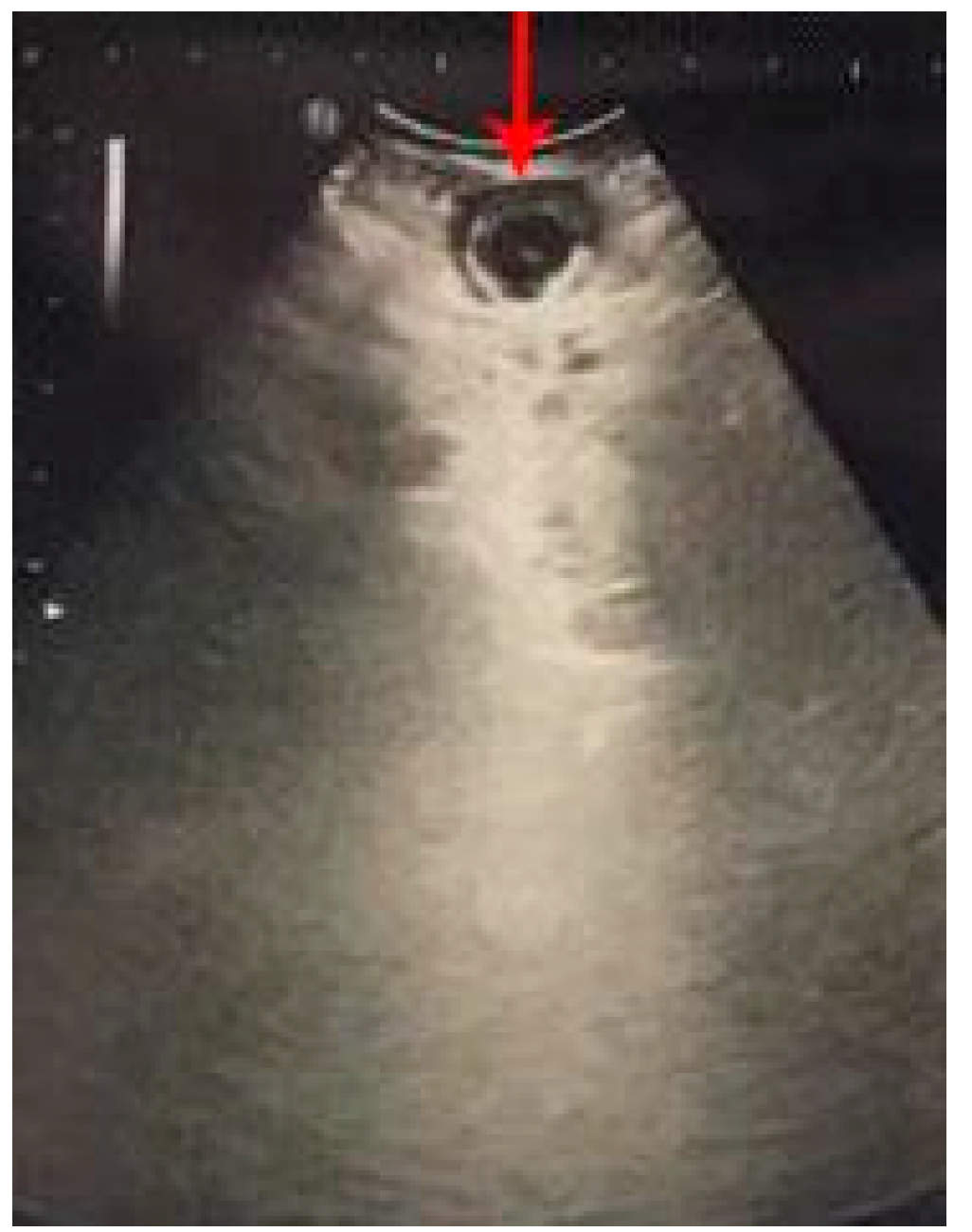 Diagnostics 12 02052 g006