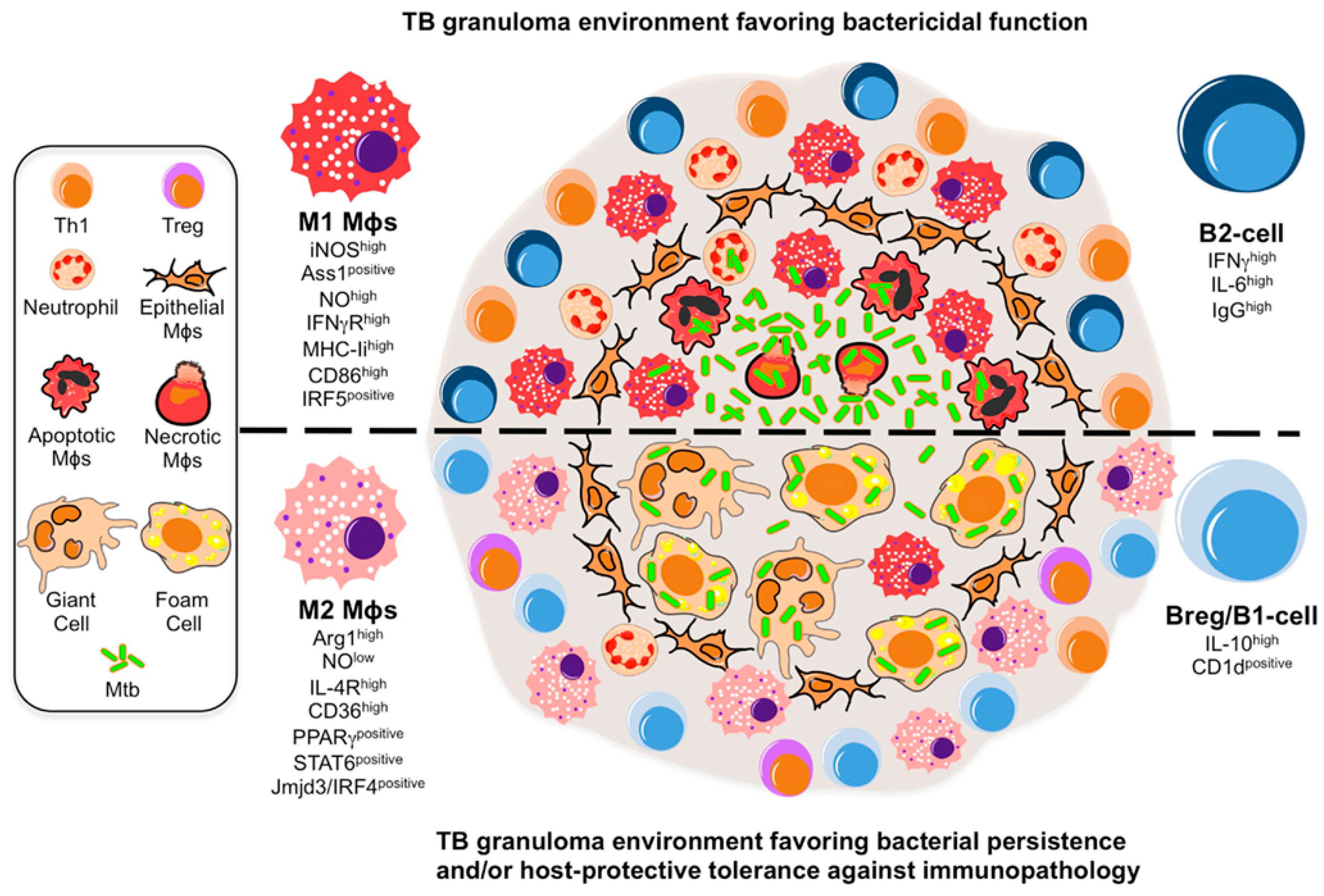 Diagnostics 12 02058 g001
