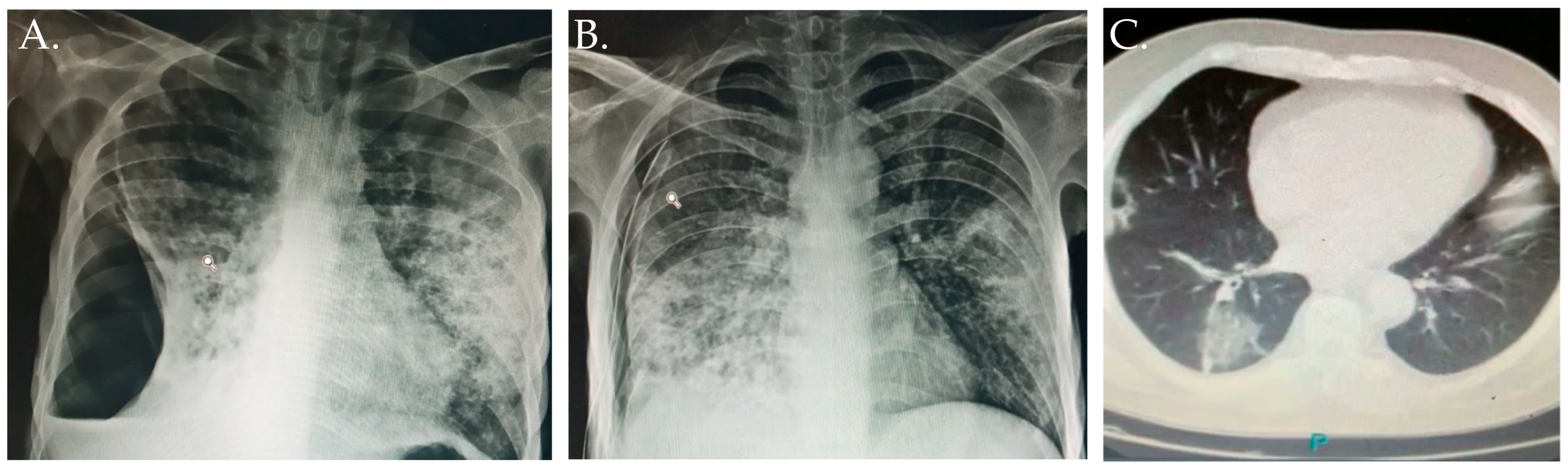 Diagnostics 12 02058 g003