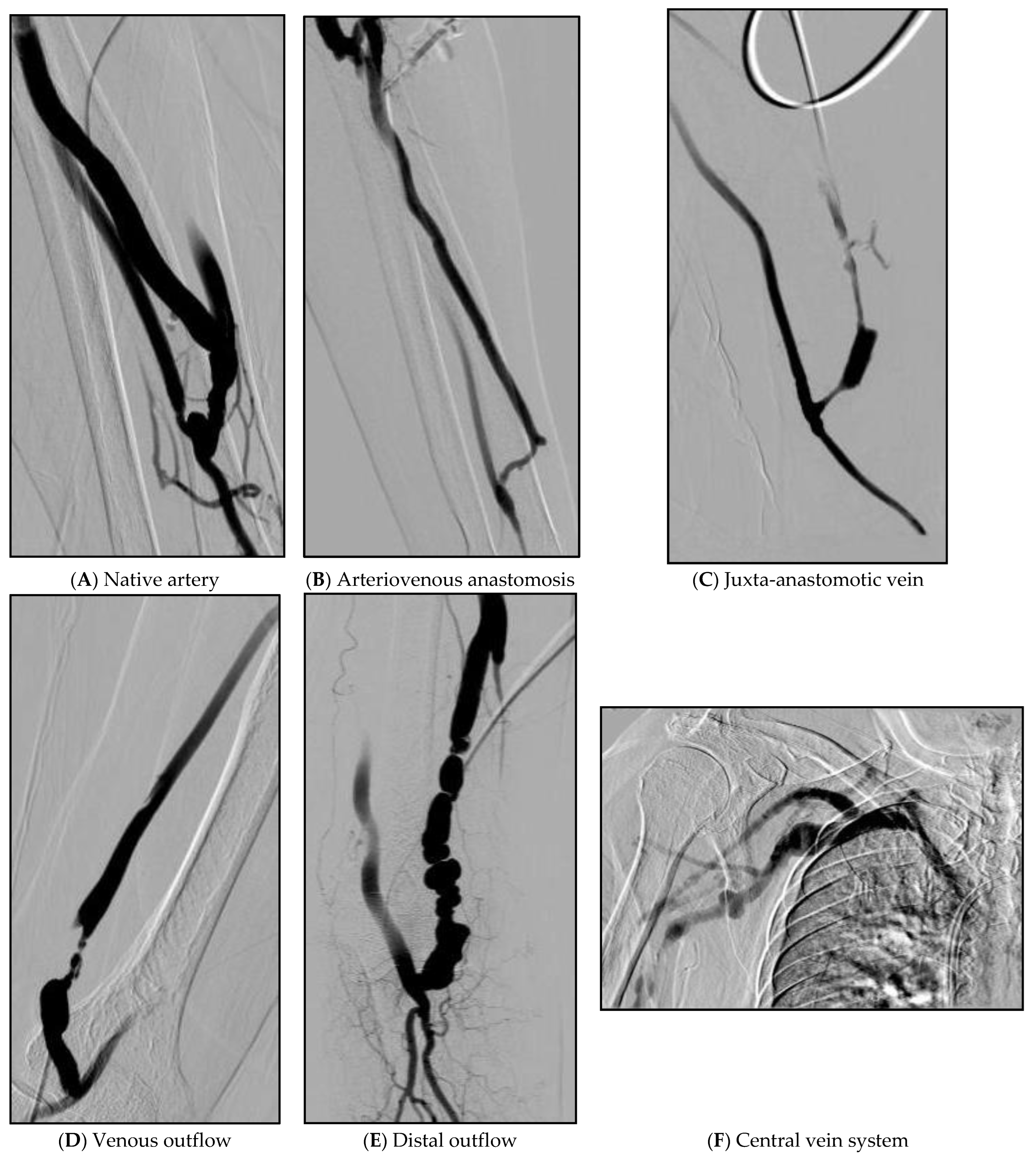 Diagnostics 12 02059 g002 550
