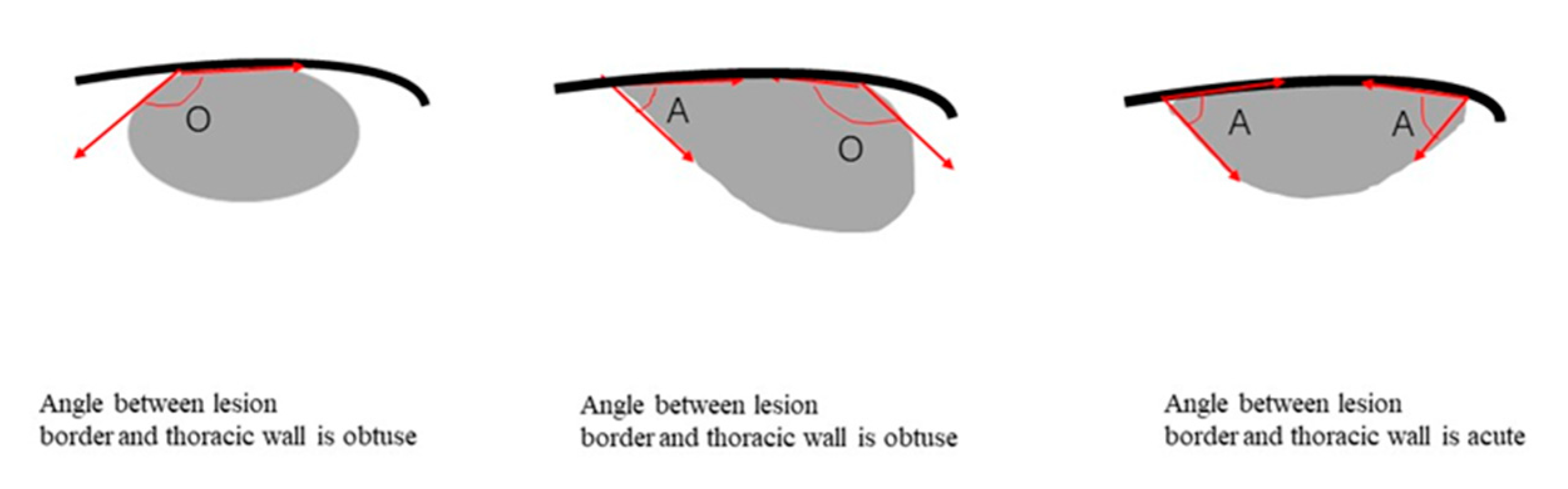 Diagnostics 12 02074 g002