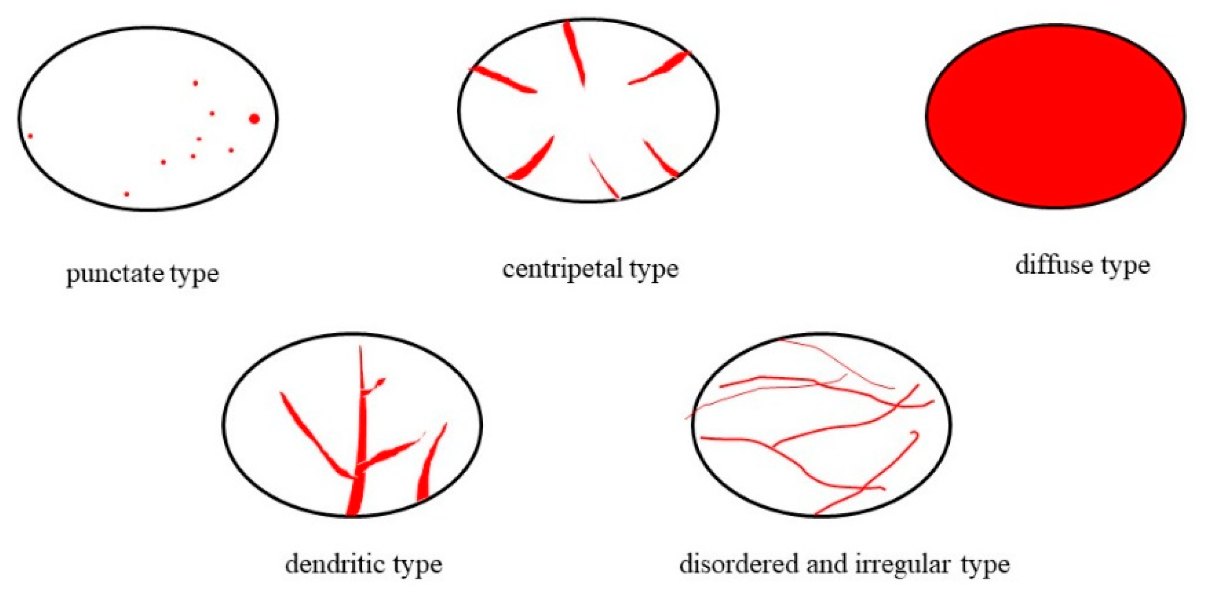 Diagnostics 12 02074 g003