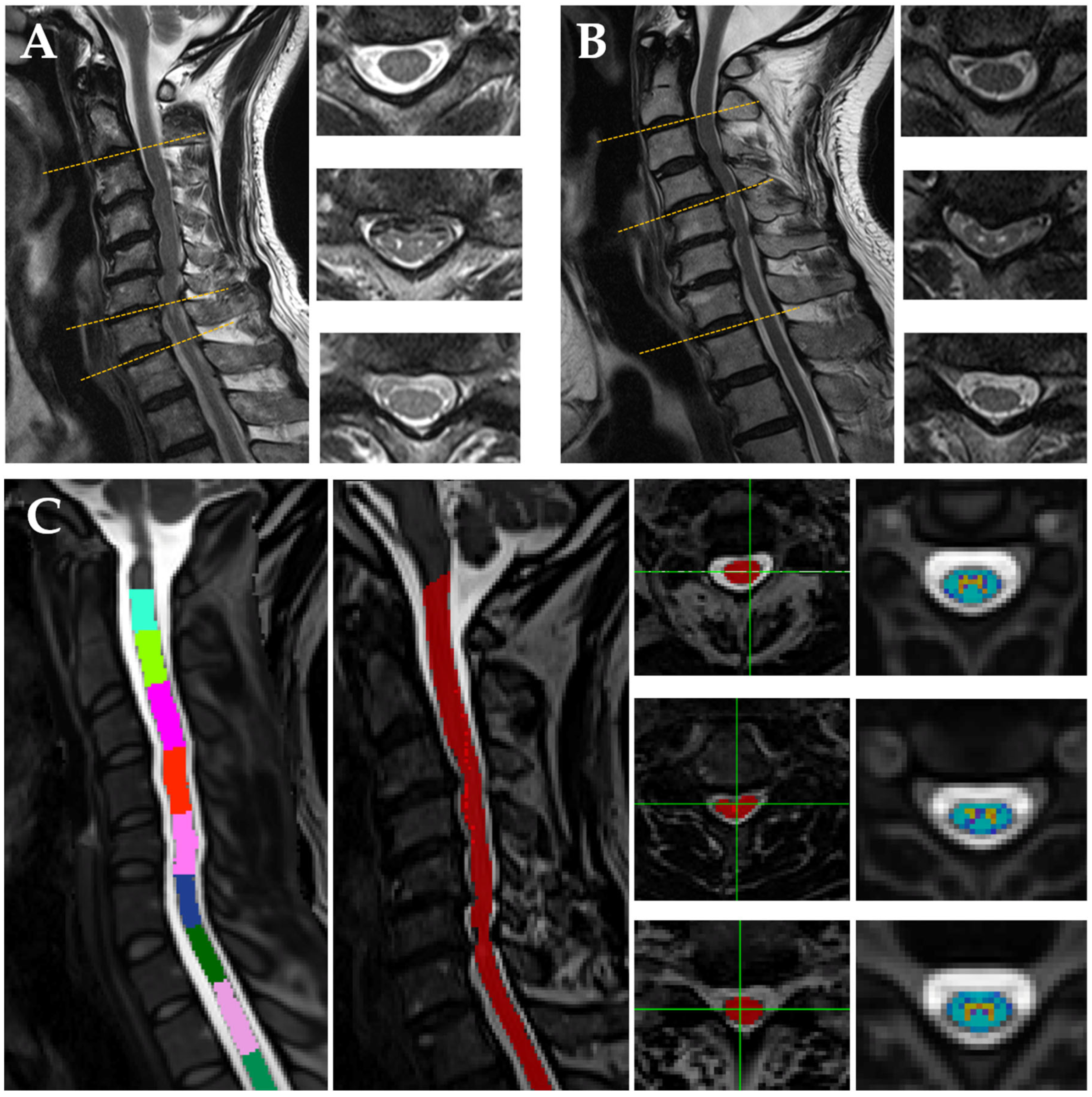 Diagnostics 12 02090 g001 Diagnostics 12 02090 g001