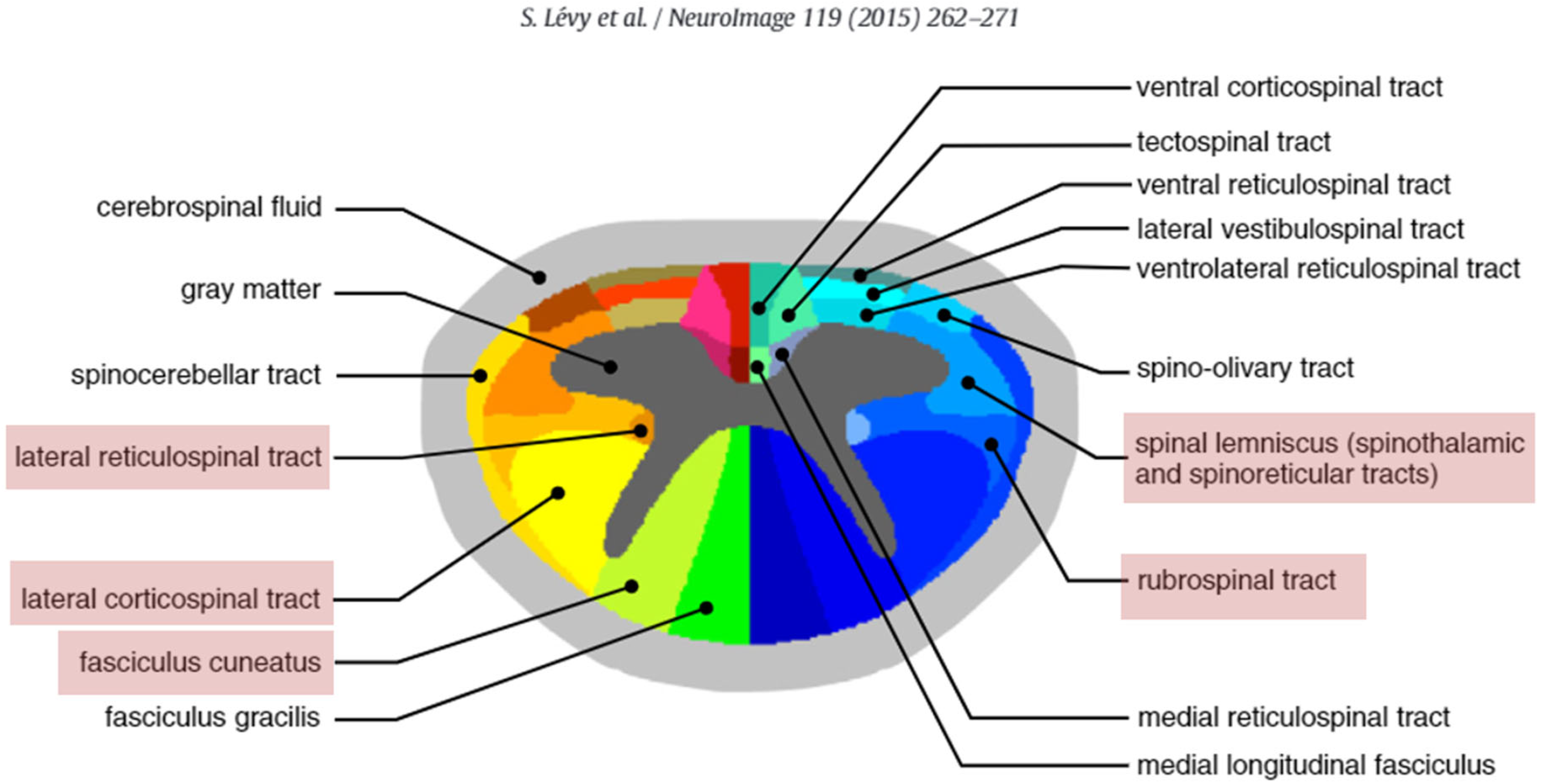 Diagnostics 12 02090 g002 Diagnostics 12 02090 g002