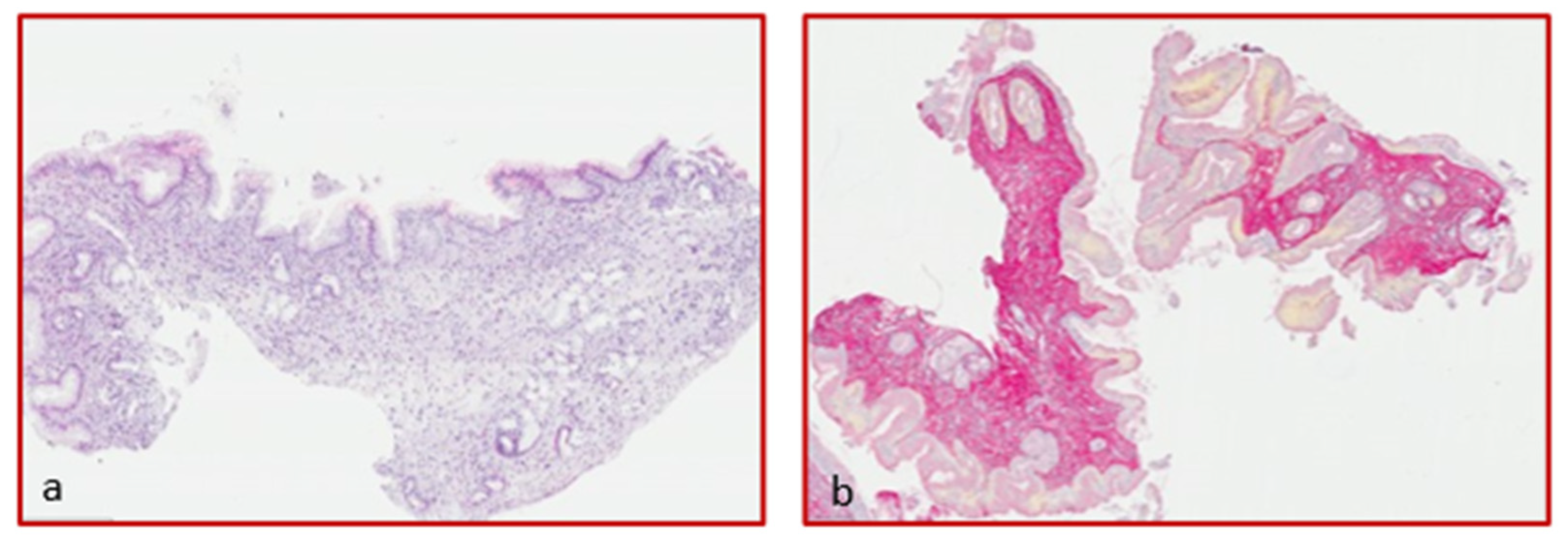Diagnostics 12 02092 g001