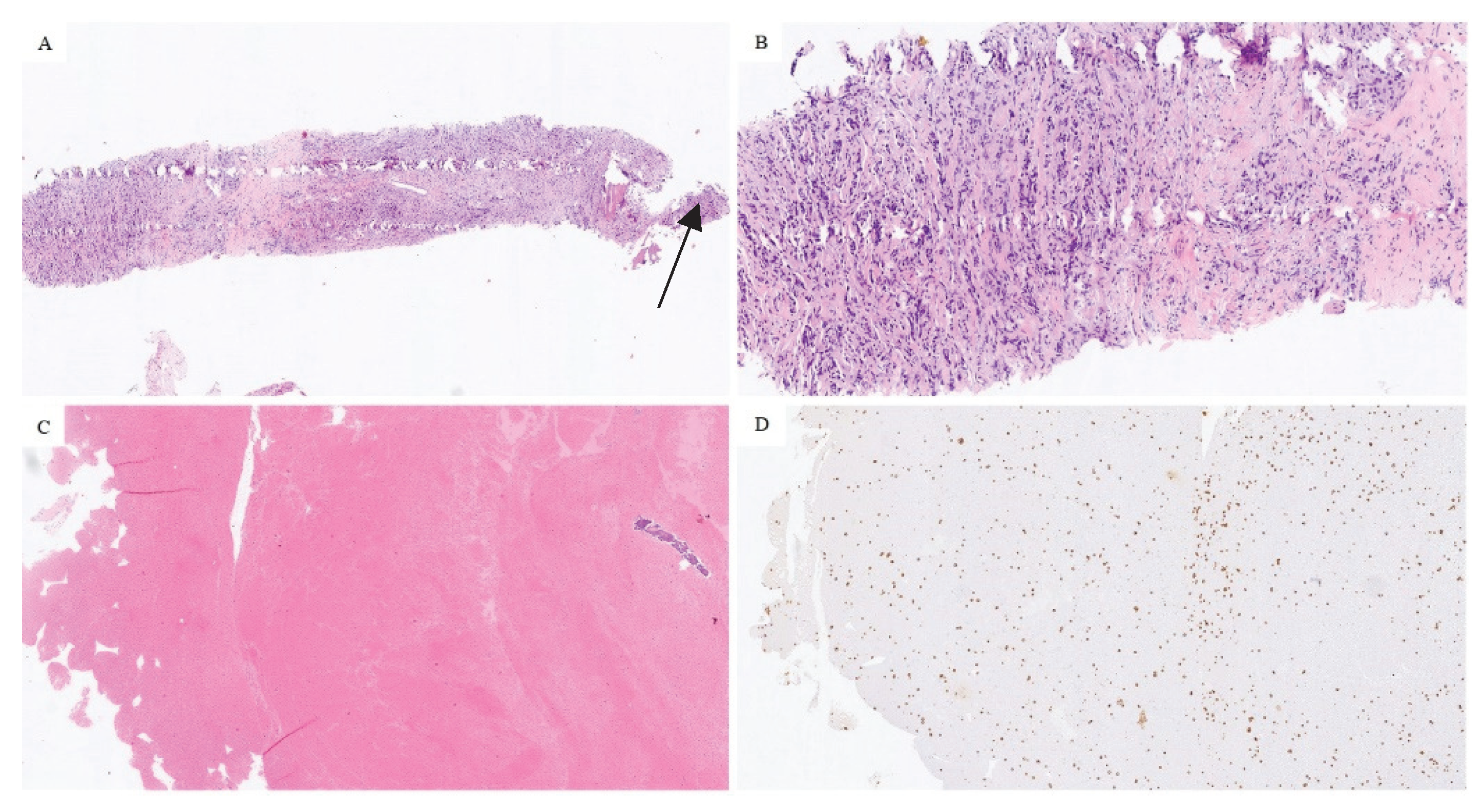 Diagnostics 12 02094 g002