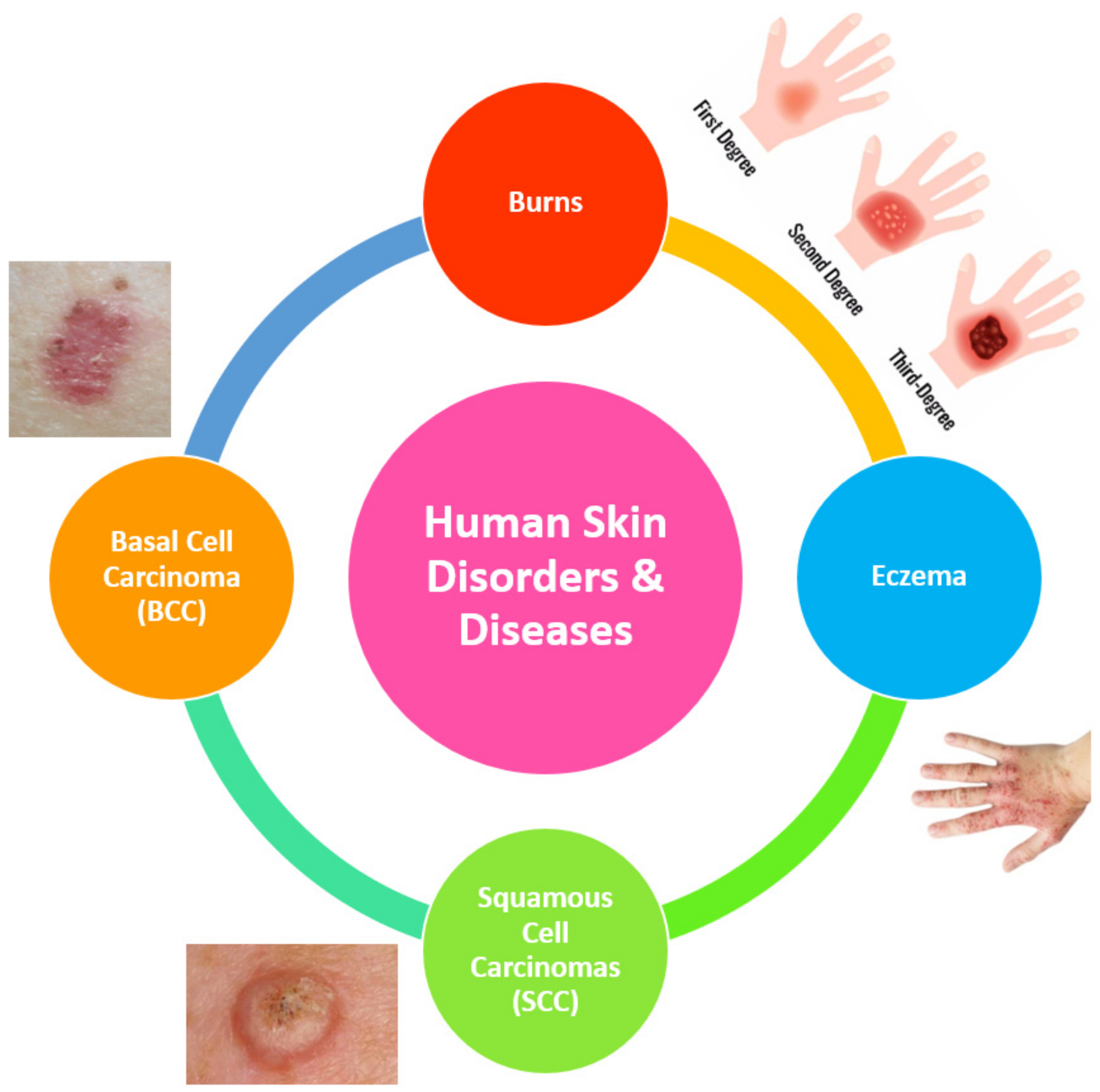 Diagnostics 12 02117 g001