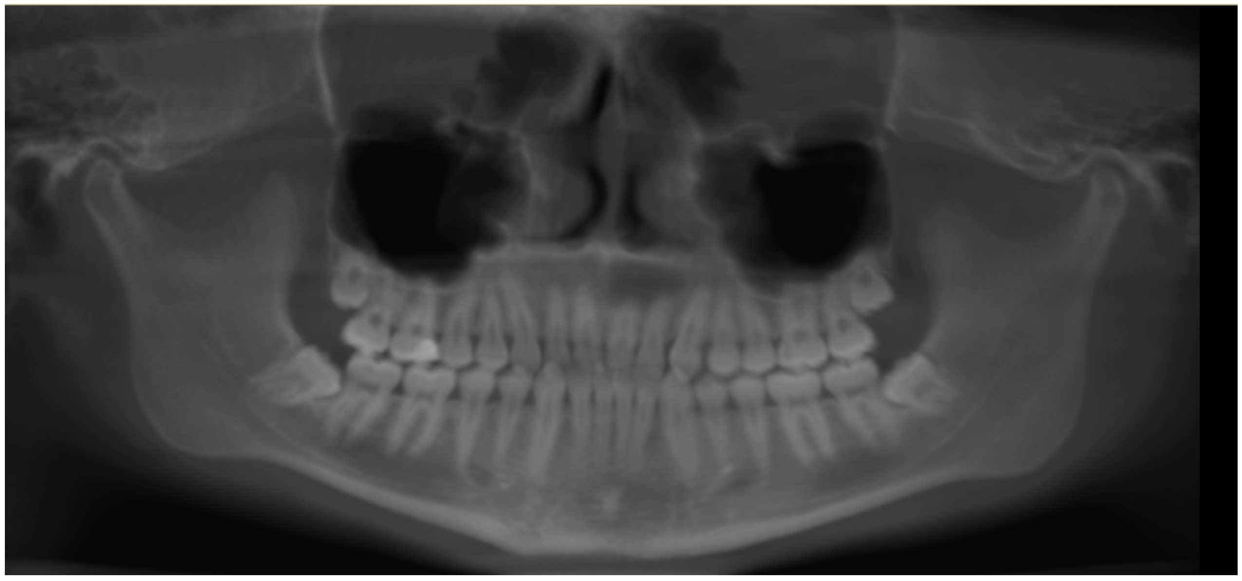 Diagnostics 12 02121 g002 Diagnostics 12 02121 g002