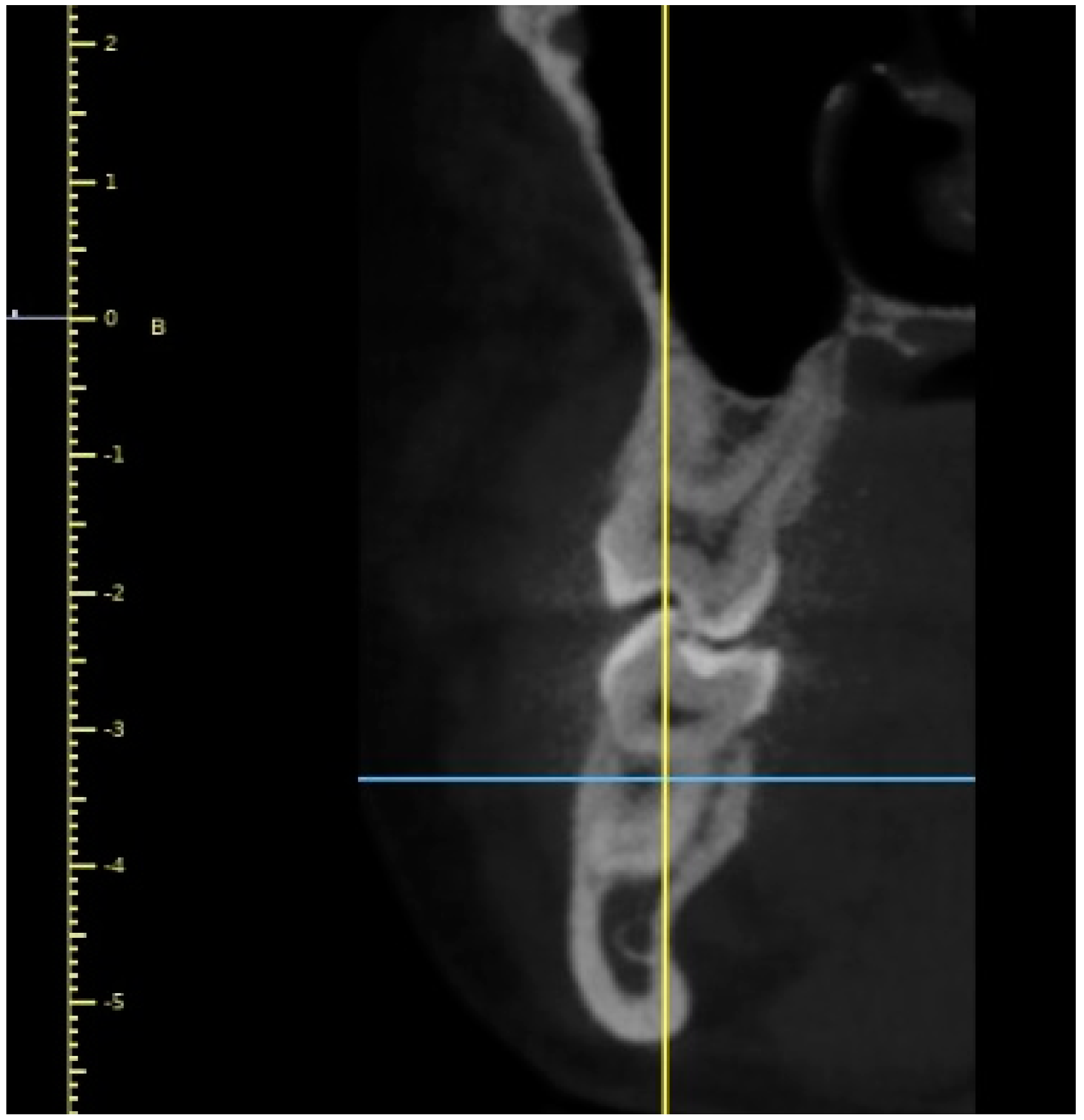 Diagnostics 12 02121 g004 Diagnostics 12 02121 g004