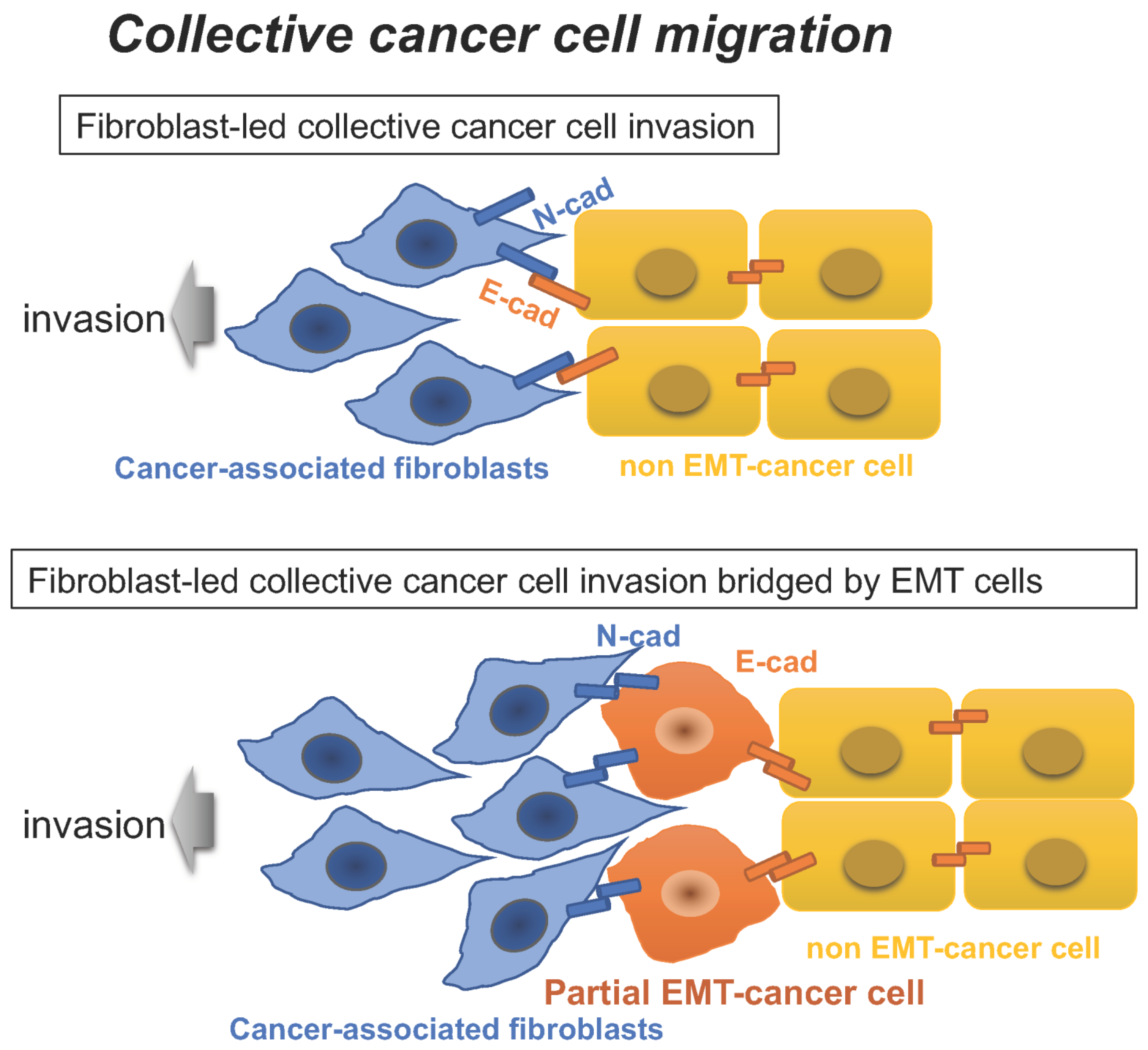 Diagnostics 12 02127 g002 Diagnostics 12 02127 g002