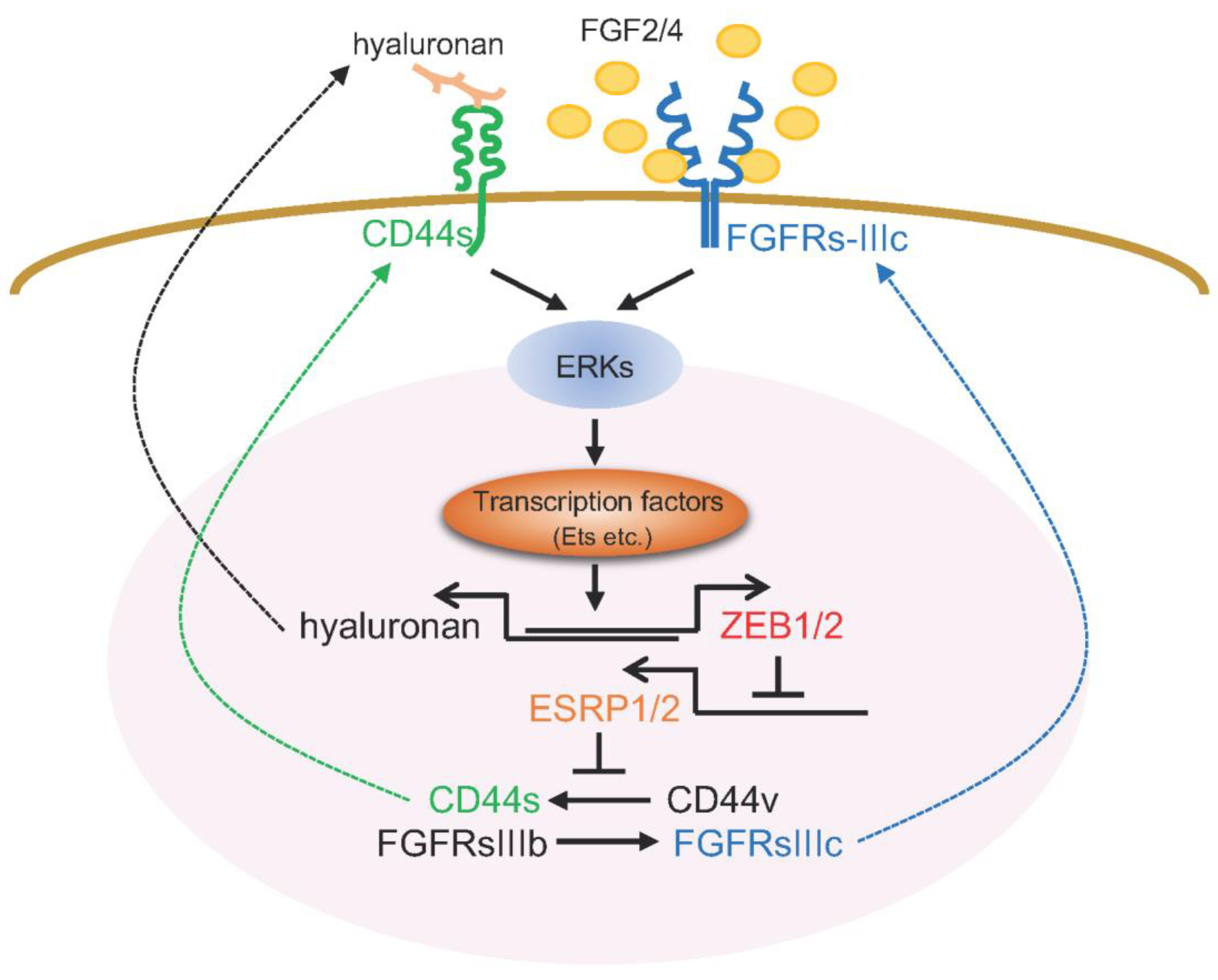 Diagnostics 12 02127 g004 Diagnostics 12 02127 g004