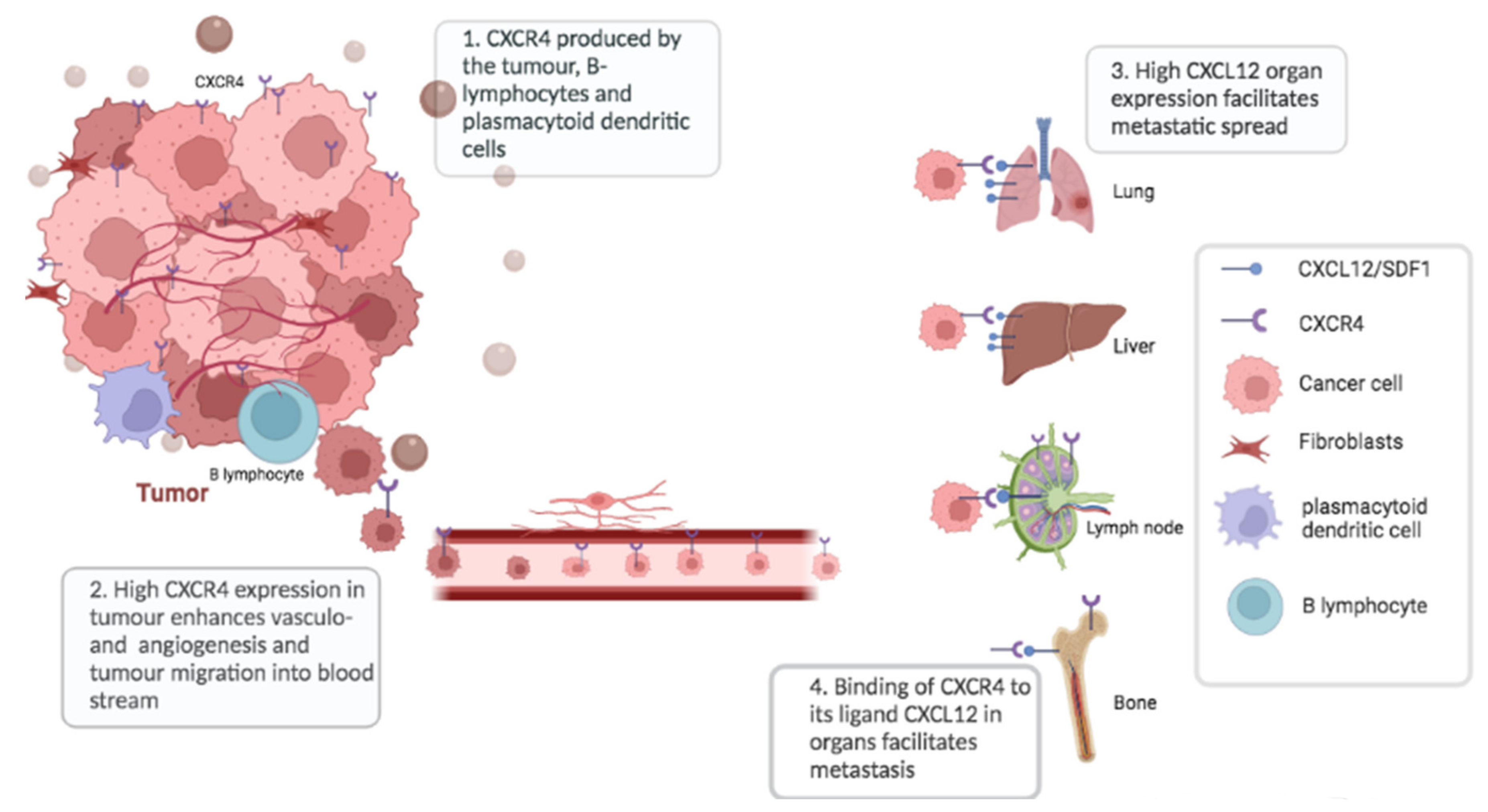 Diagnostics 12 02135 g001