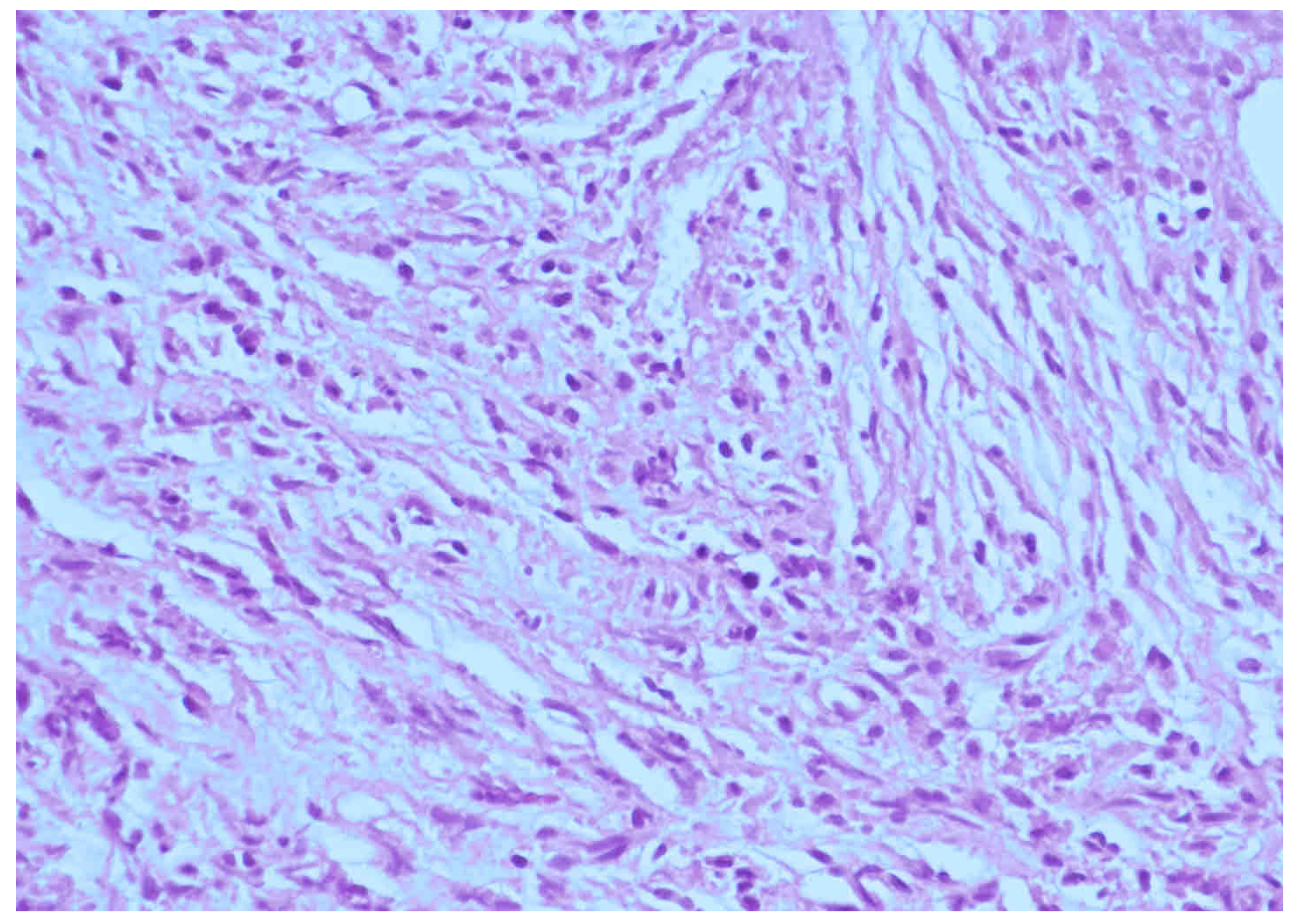 Diagnostics 12 02145 g003 Diagnostics 12 02145 g003