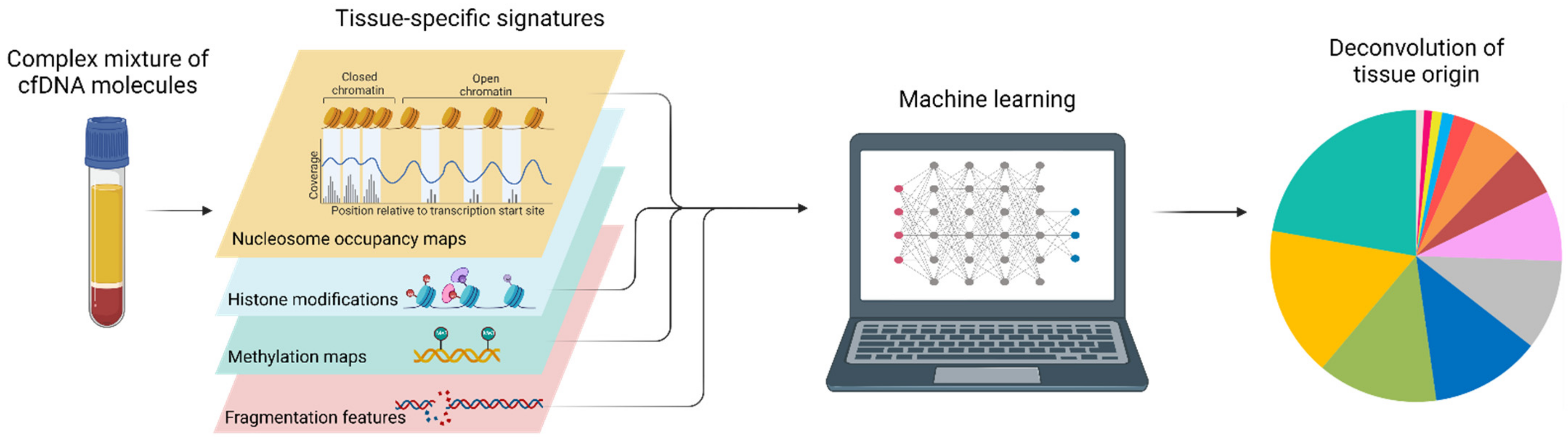 Diagnostics 12 02147 g005 Diagnostics 12 02147 g005