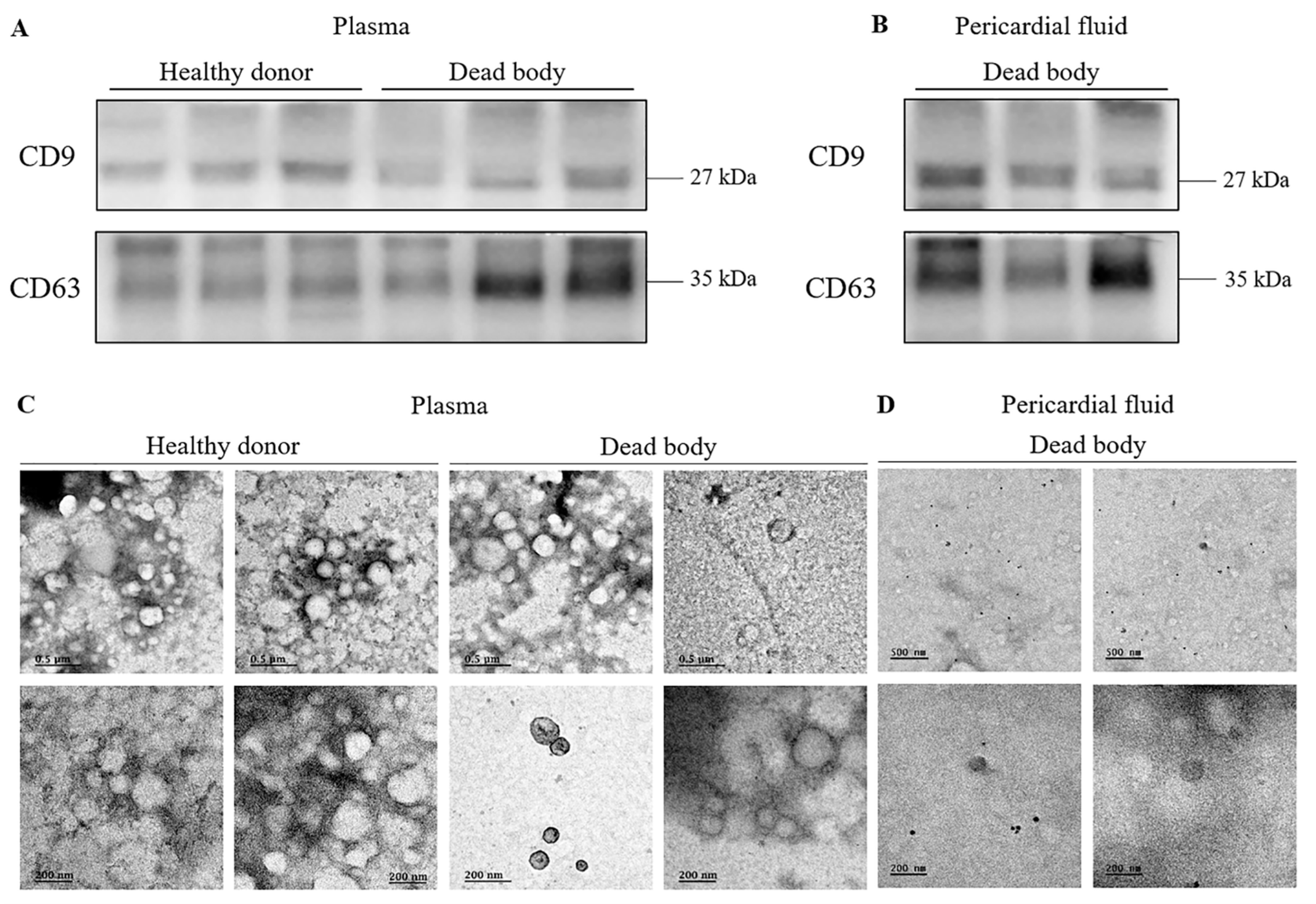 Diagnostics 12 02153 g001 550