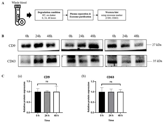 Characterization of Exosomes and Exosomal RNAs Isolated from Post ...