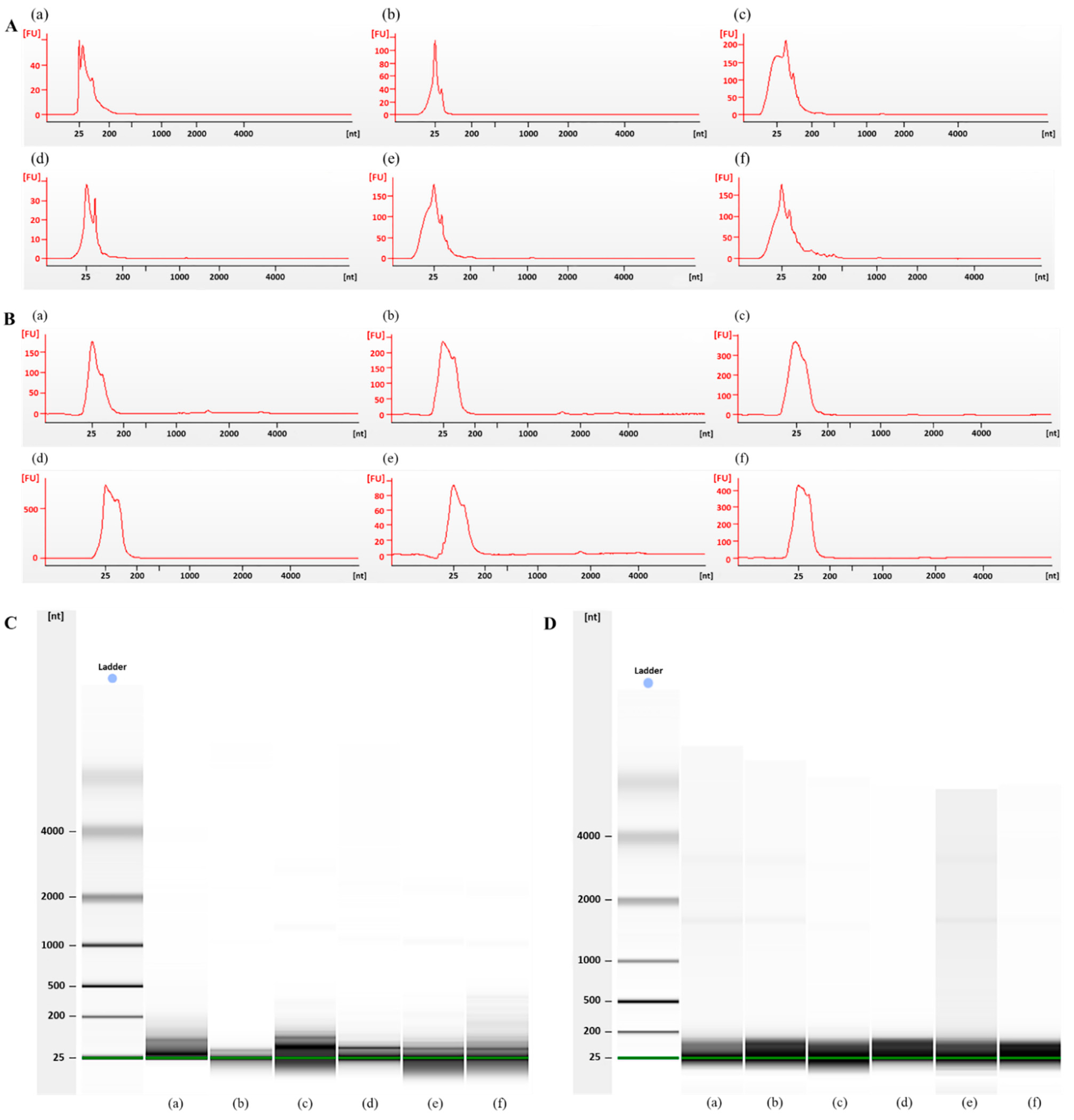 Diagnostics 12 02153 g003 550