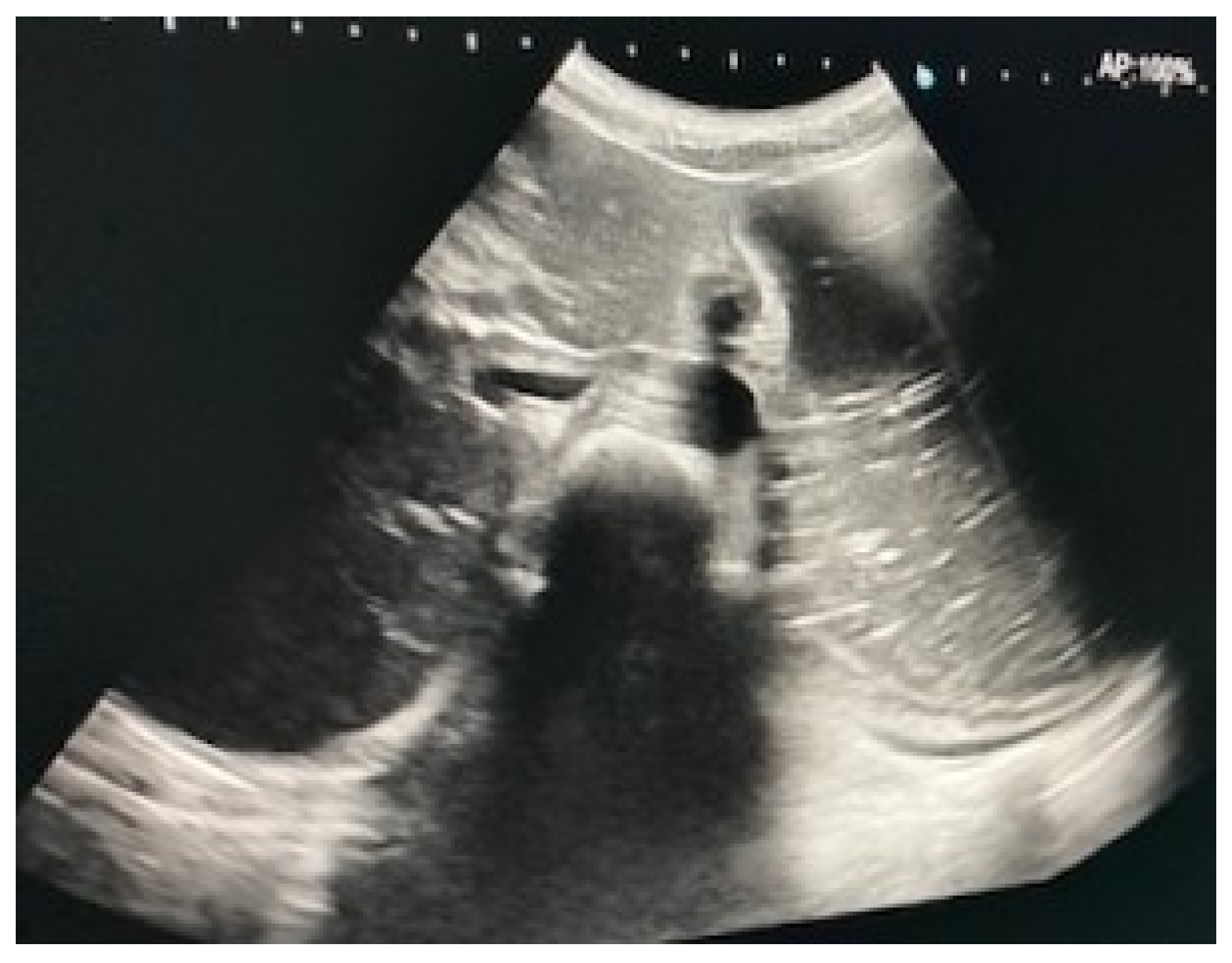 Diagnostics 12 02159 g002 550