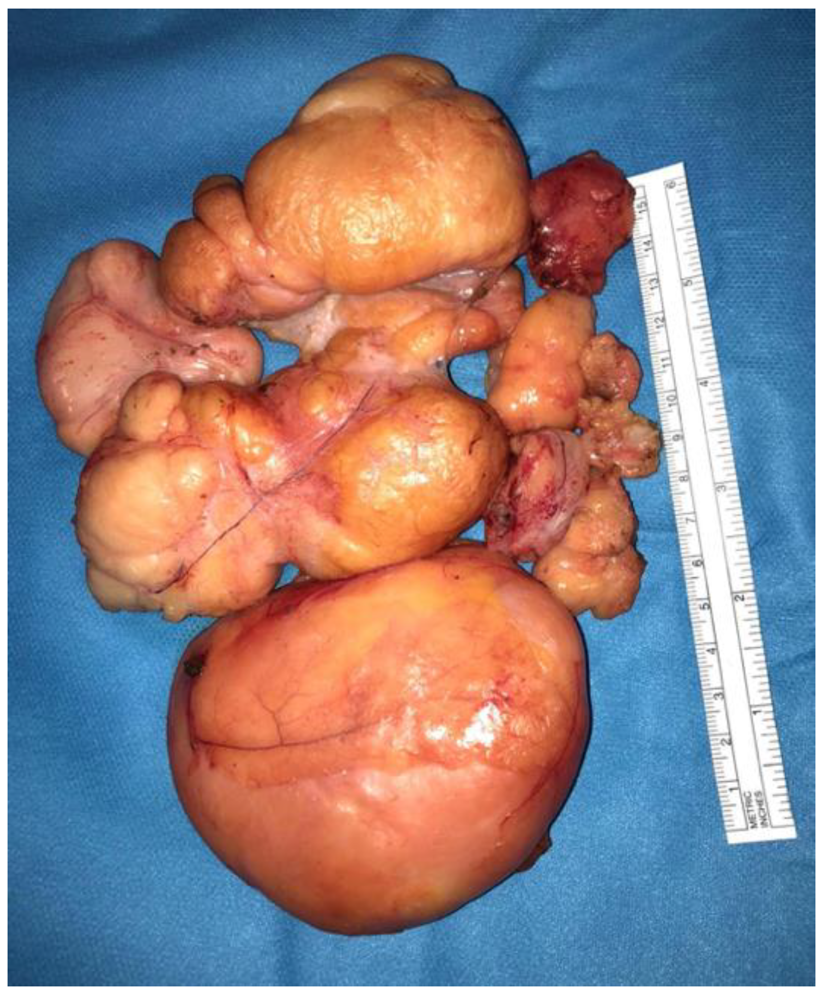 Diagnostics 12 02160 g001 550