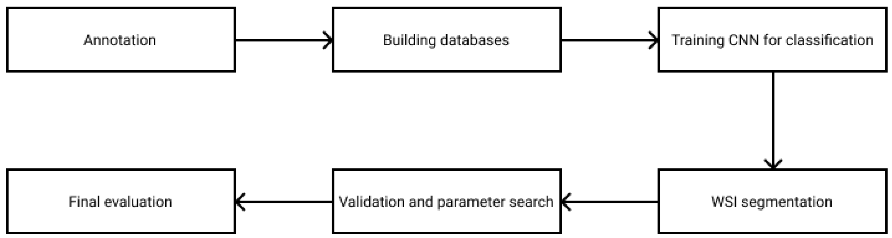 Diagnostics 12 02161 g001 550