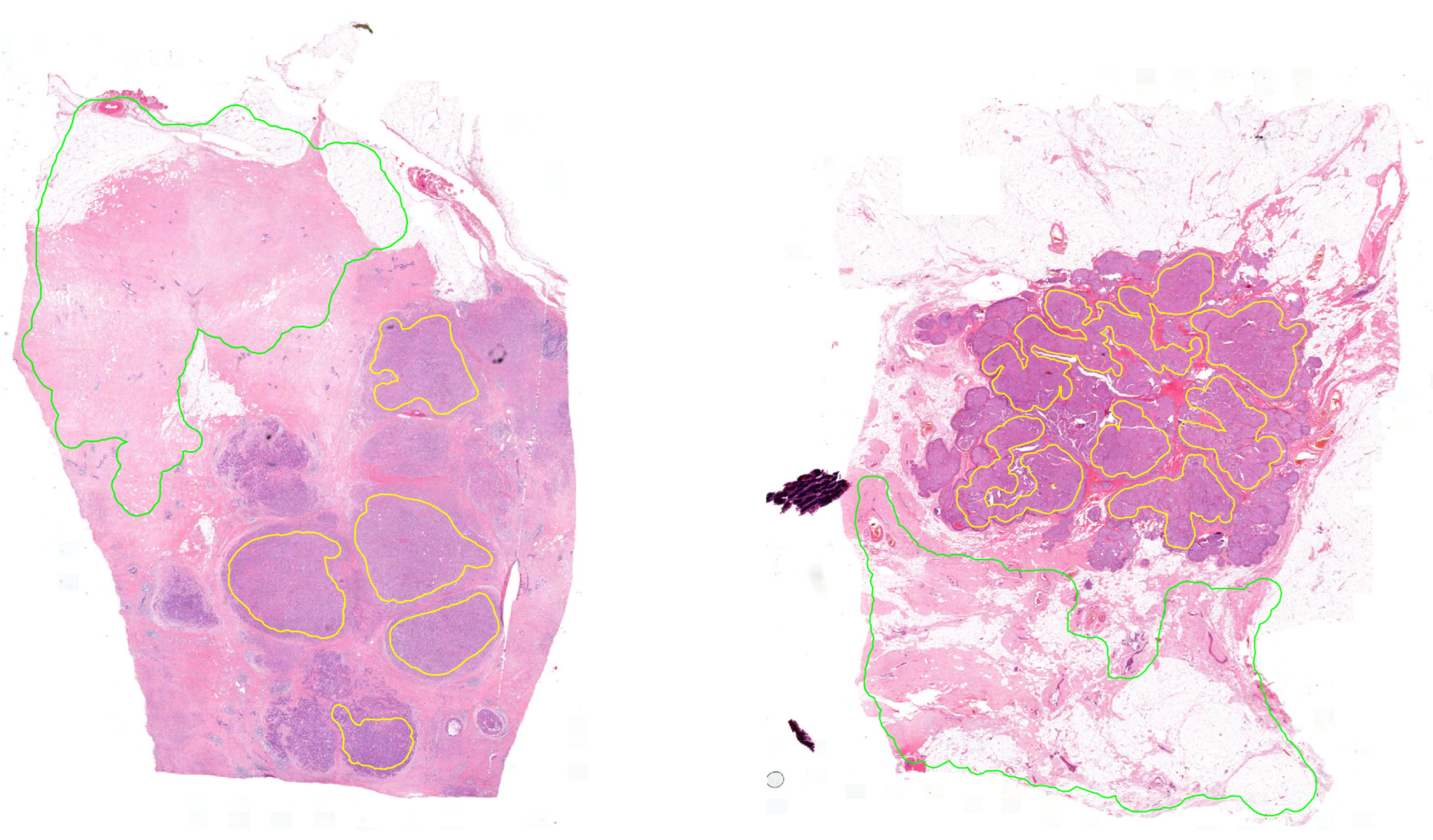 Diagnostics 12 02161 g002 550
