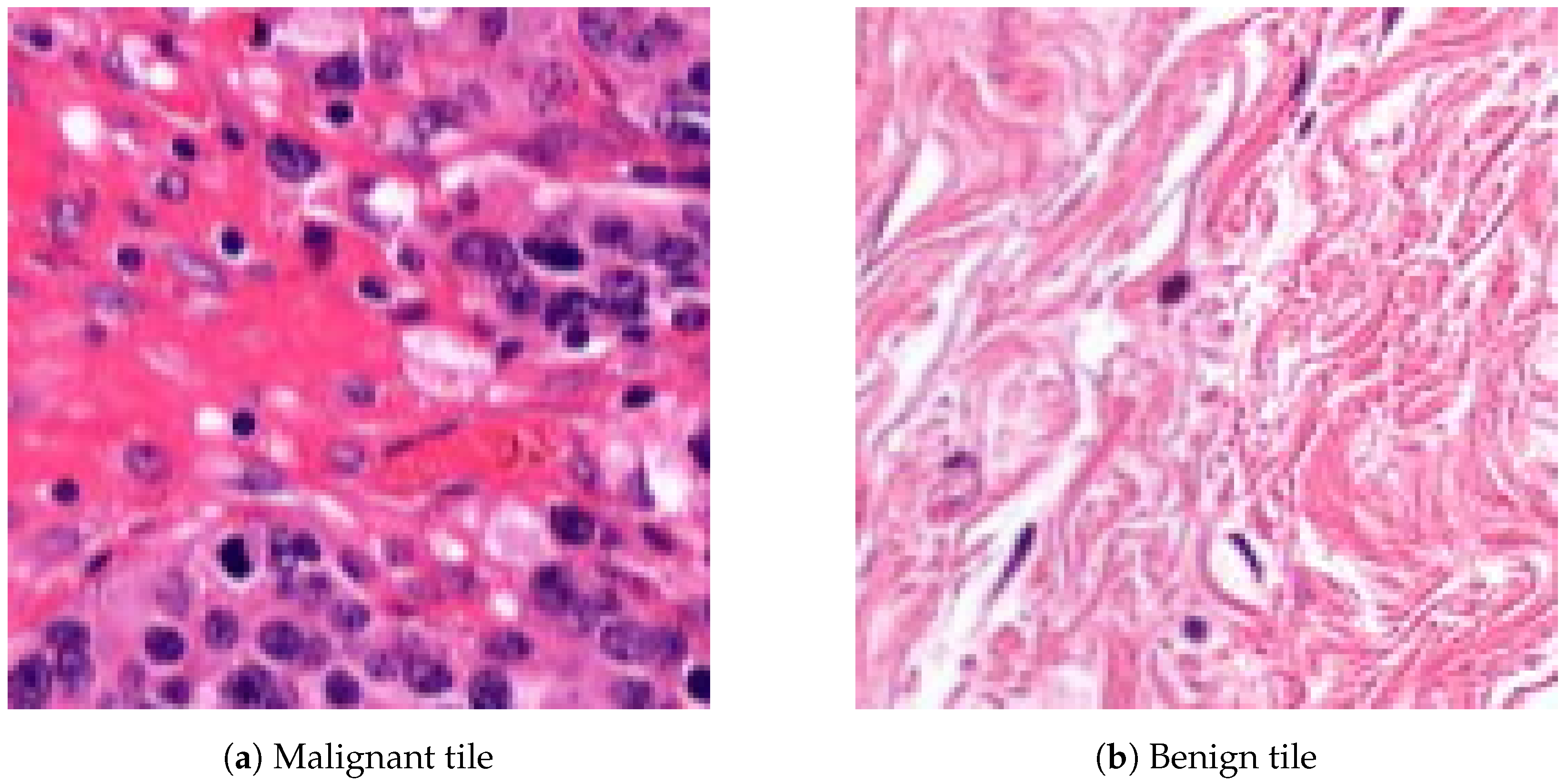 Diagnostics 12 02161 g004 550