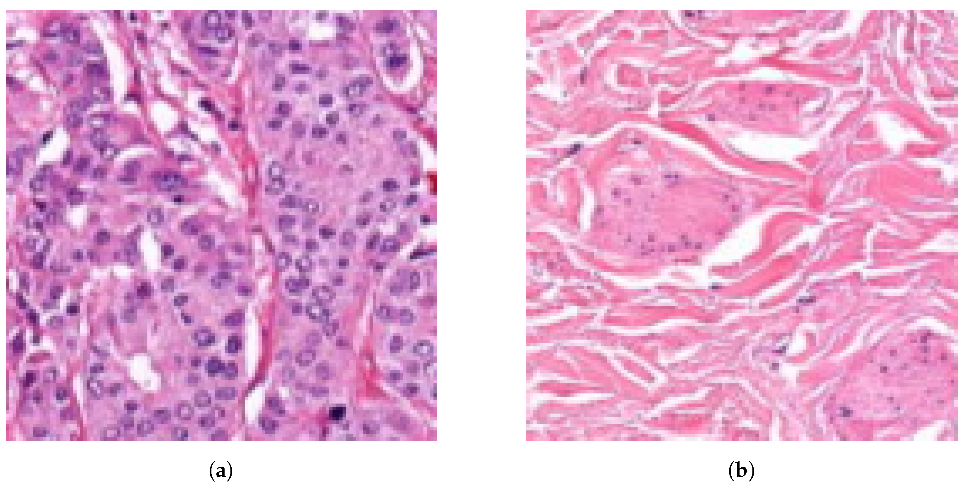 Diagnostics 12 02161 g006 550