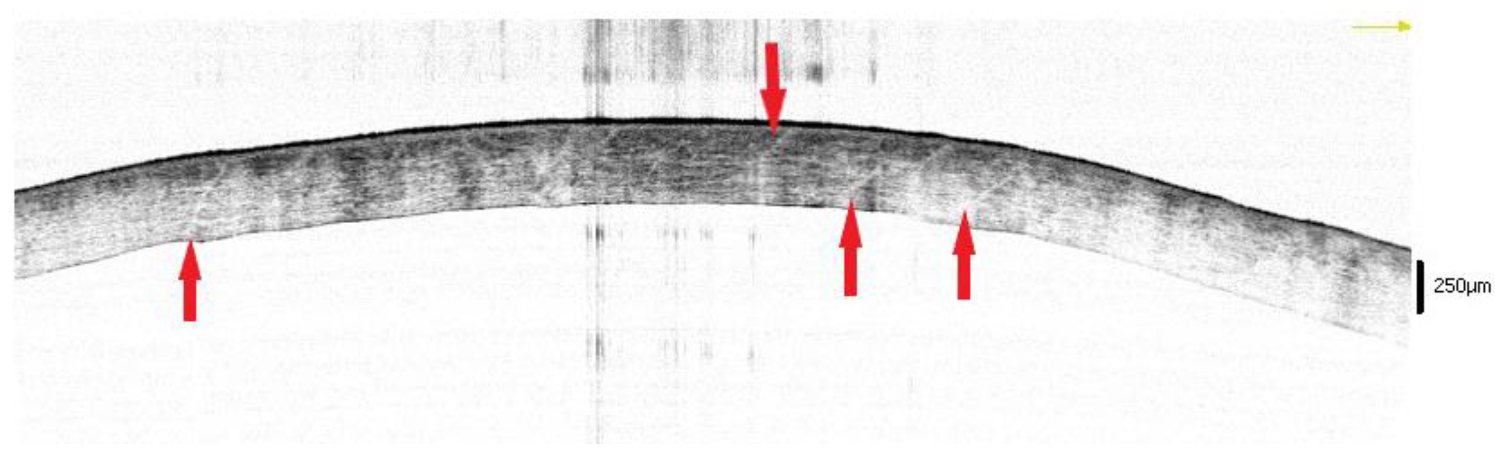 Diagnostics 12 02169 g002 Diagnostics 12 02169 g002