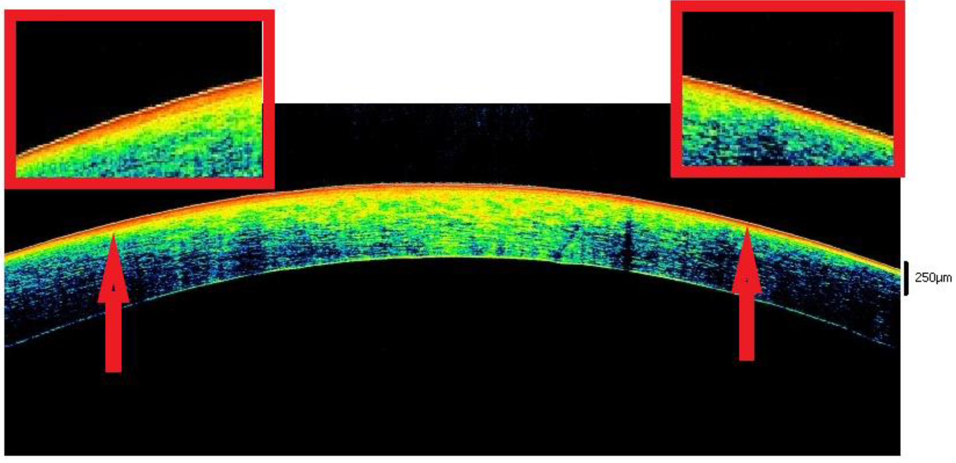 Diagnostics 12 02169 g003 Diagnostics 12 02169 g003