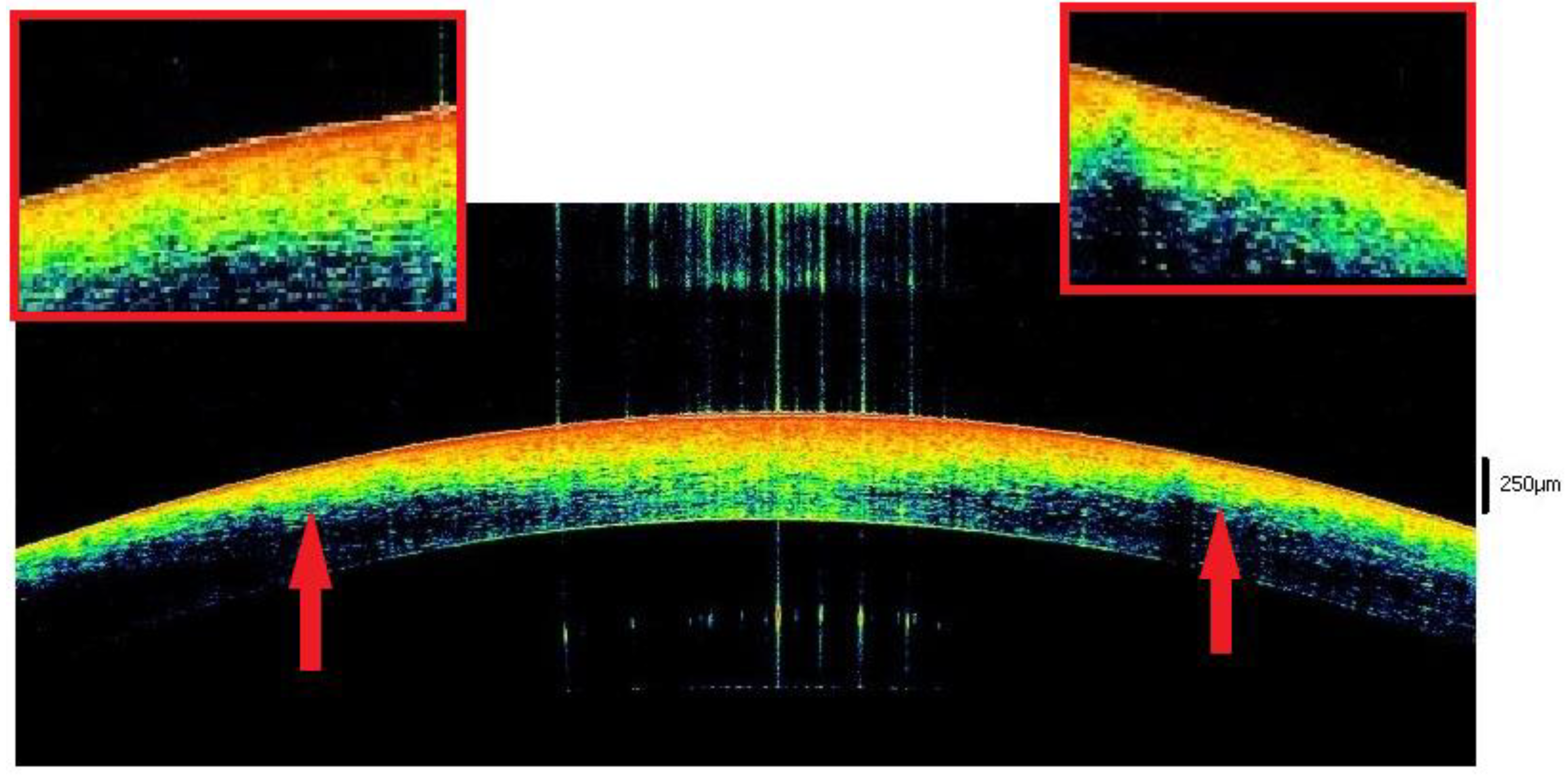 Diagnostics 12 02169 g004 Diagnostics 12 02169 g004