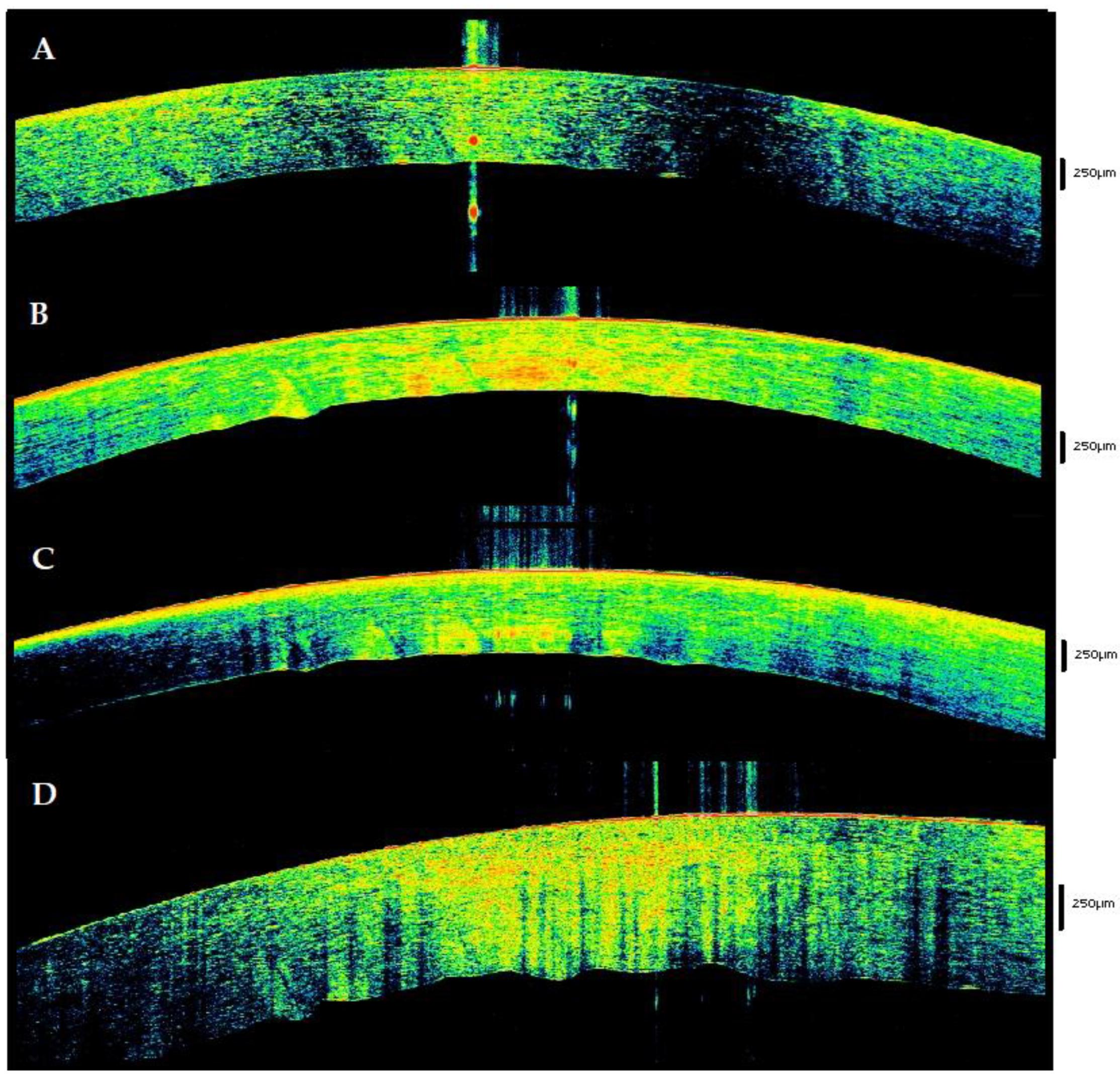 Diagnostics 12 02169 g005 Diagnostics 12 02169 g005