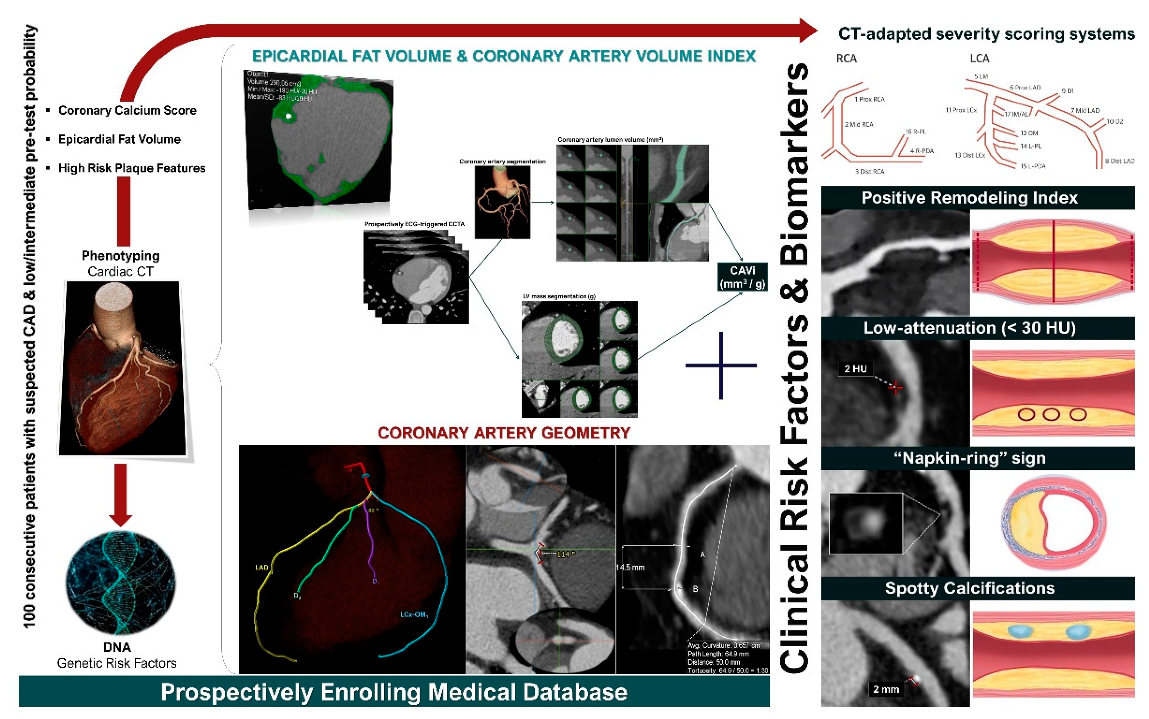 Diagnostics 12 02178 g002 550