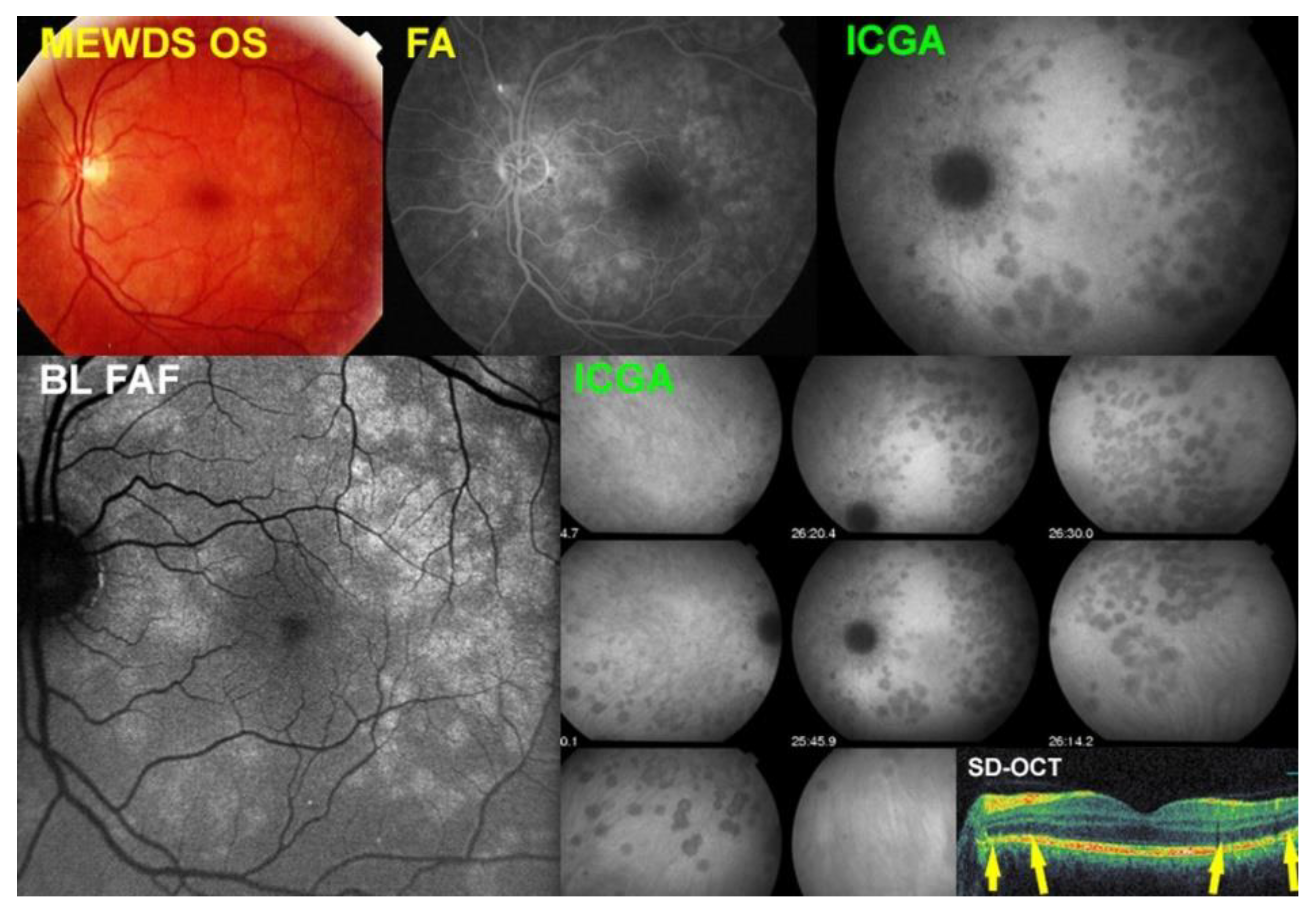 Diagnostics 12 02179 g002 Diagnostics 12 02179 g002