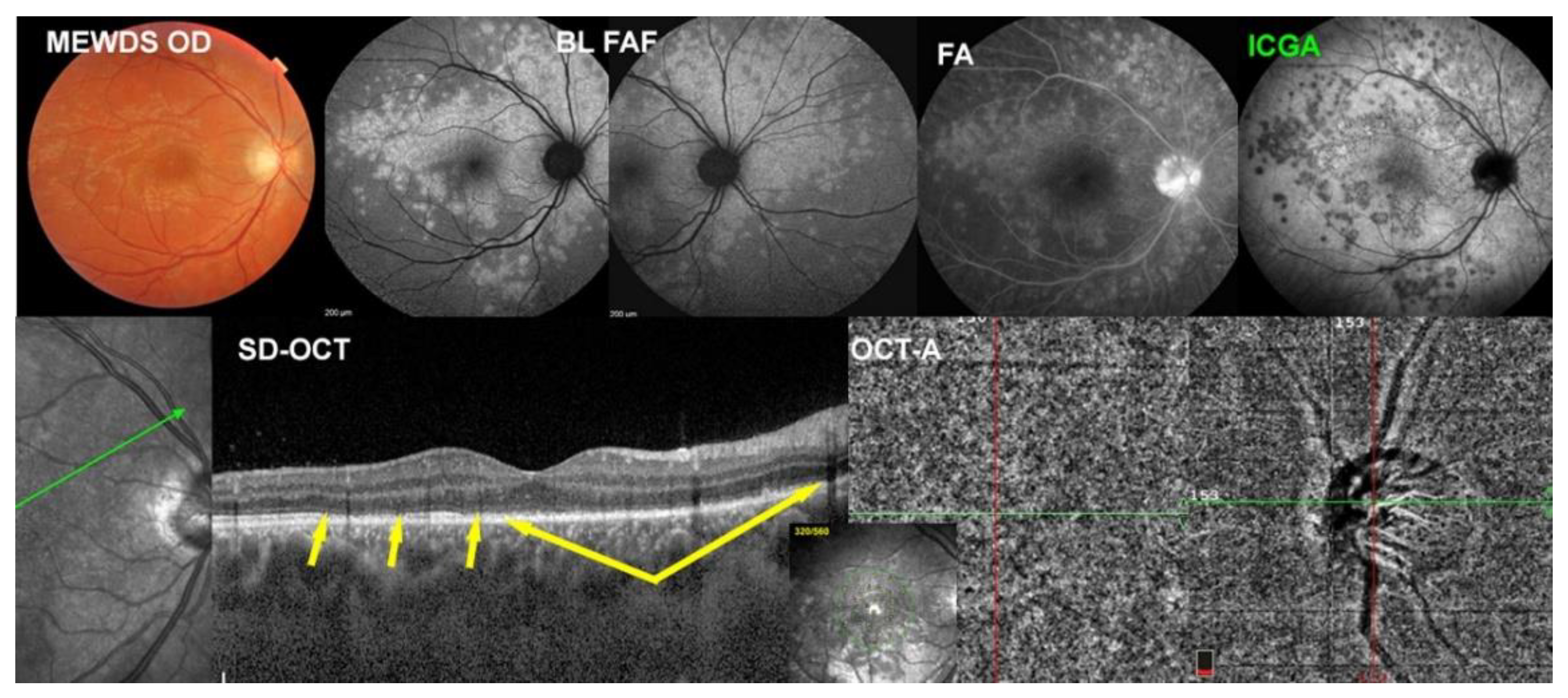 Diagnostics 12 02179 g005 Diagnostics 12 02179 g005