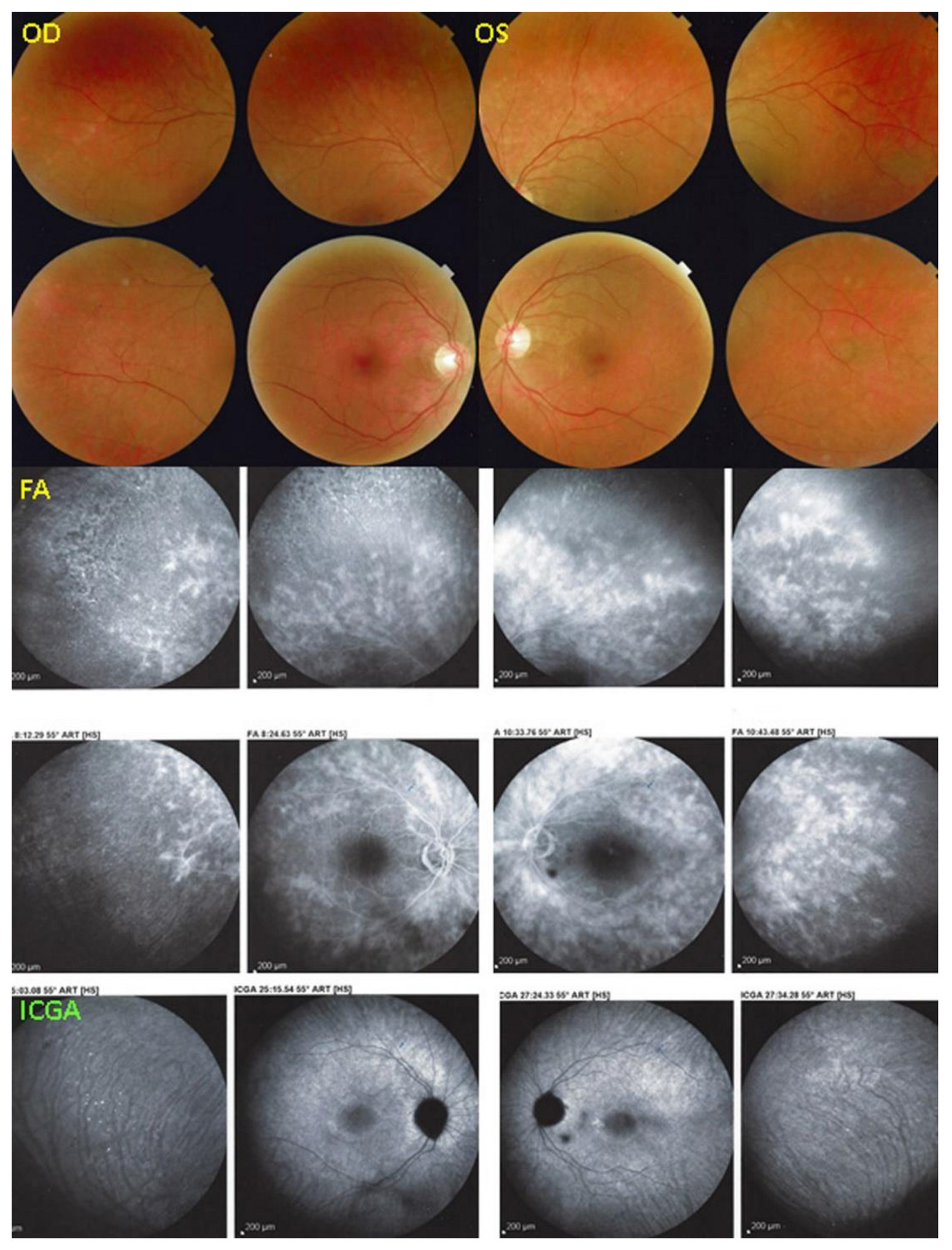 Diagnostics 12 02179 g013 Diagnostics 12 02179 g013