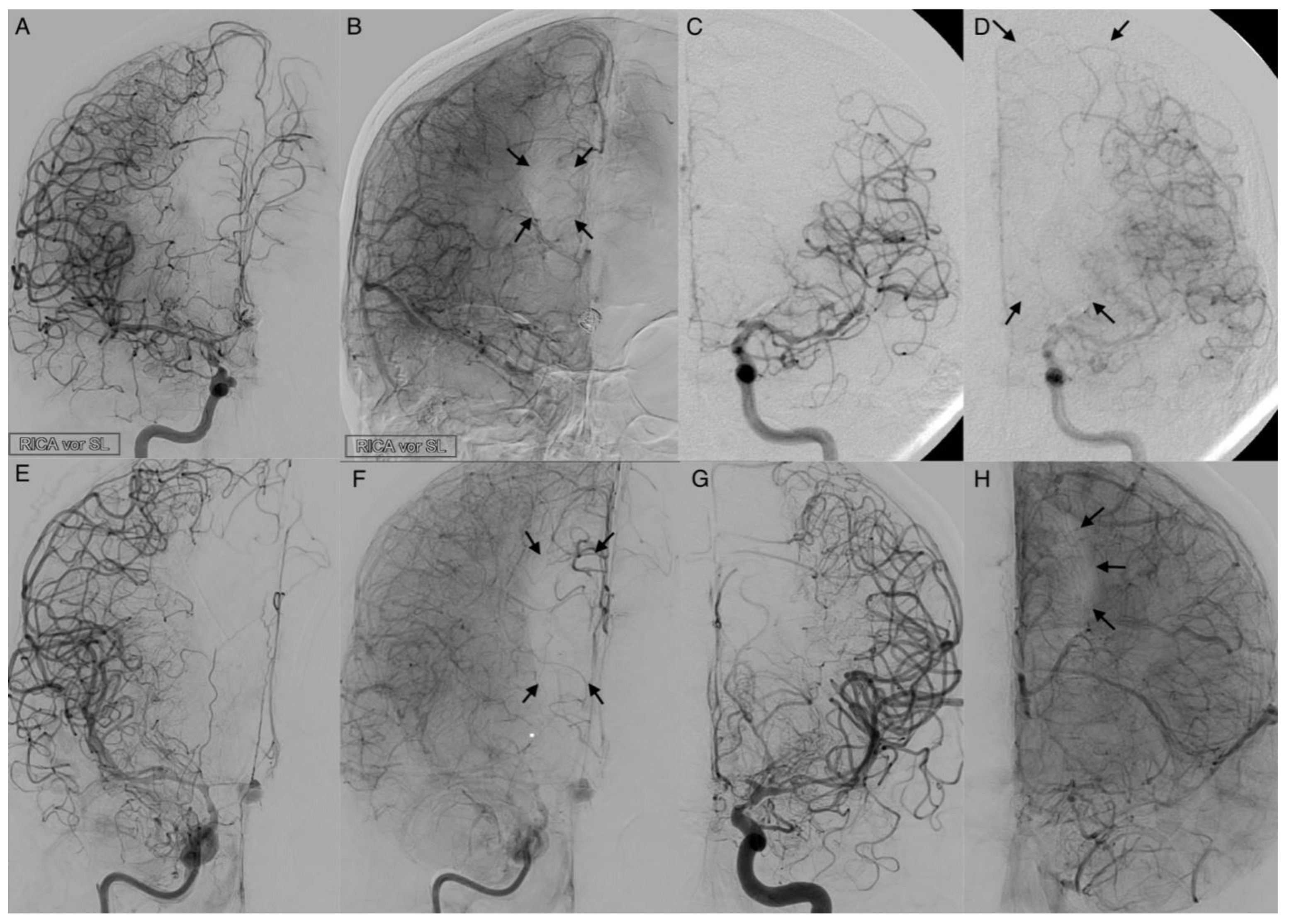 Diagnostics 12 02185 g005 550