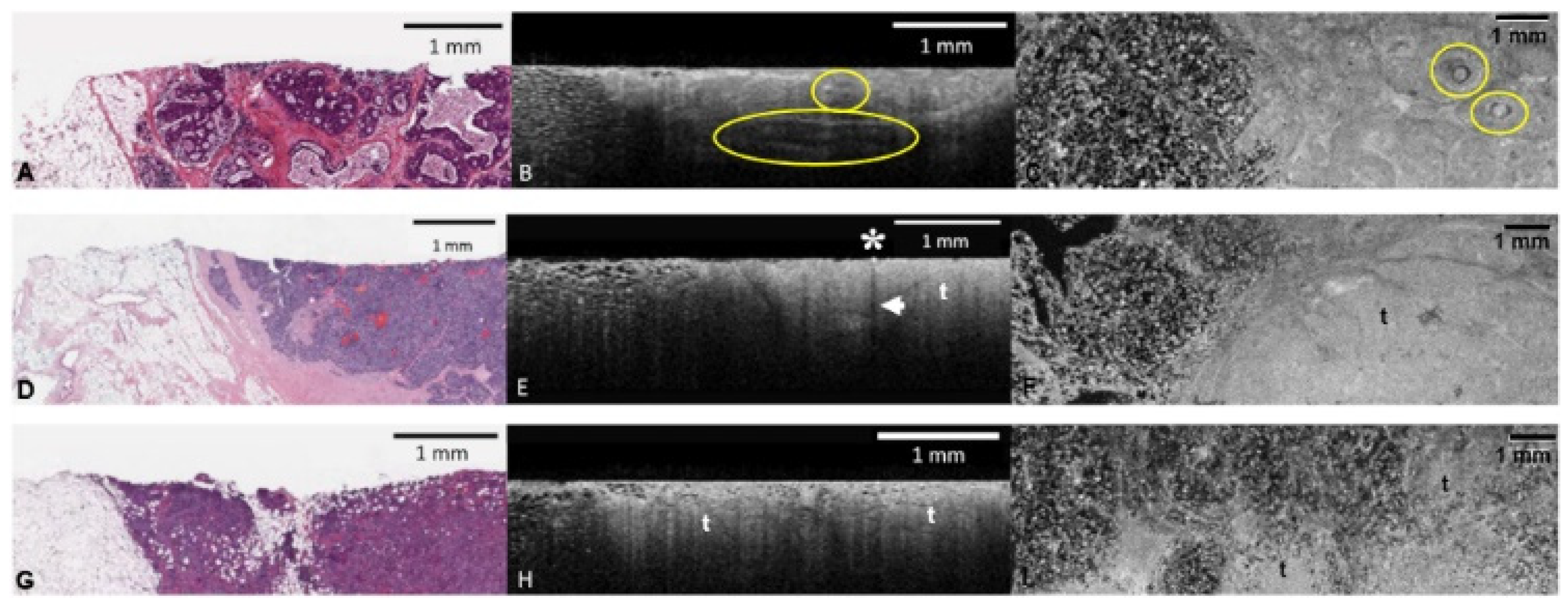 Diagnostics 12 02191 g002