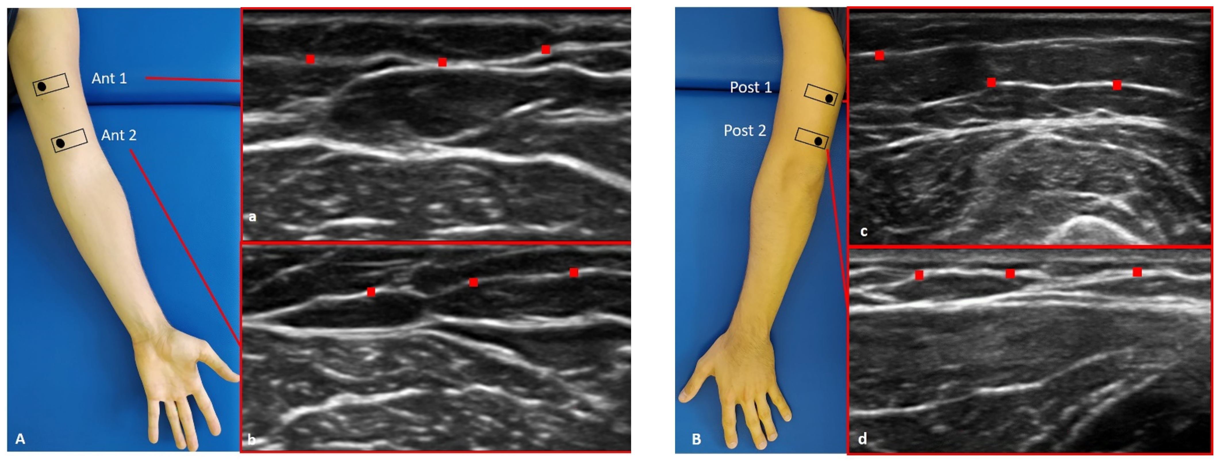 Diagnostics 12 02195 g001a 550