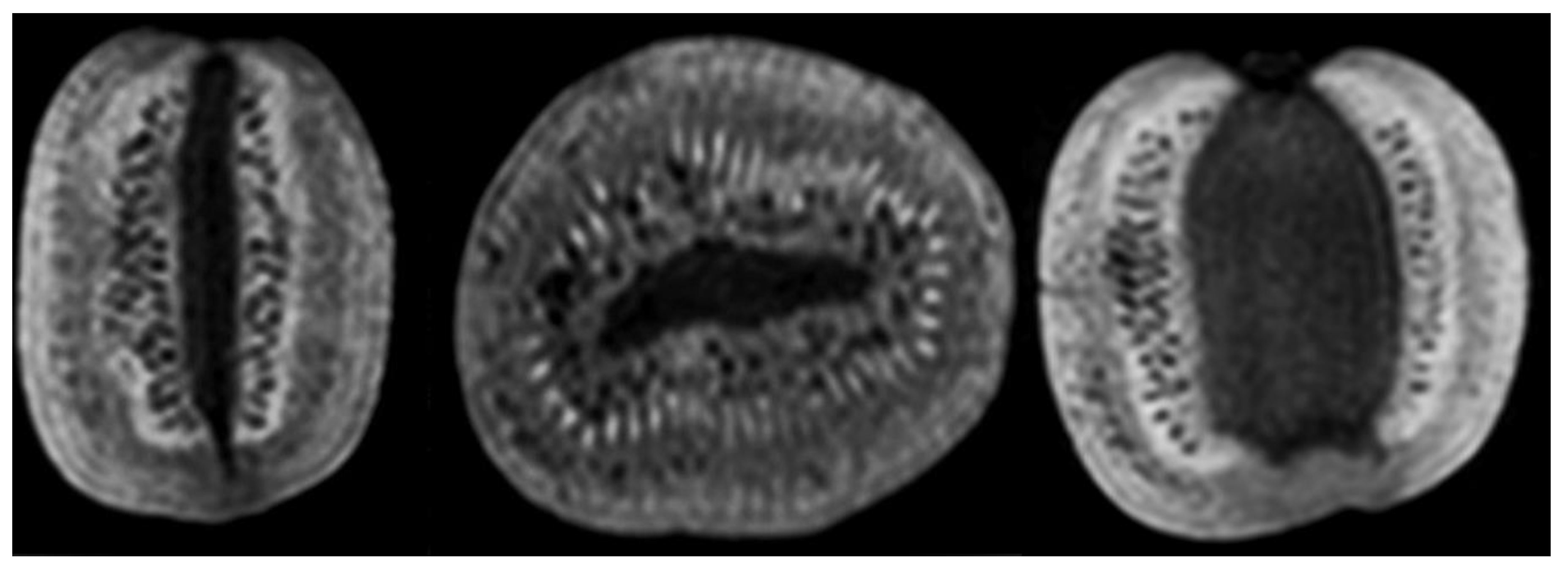 Diagnostics 12 02196 g001 Diagnostics 12 02196 g001