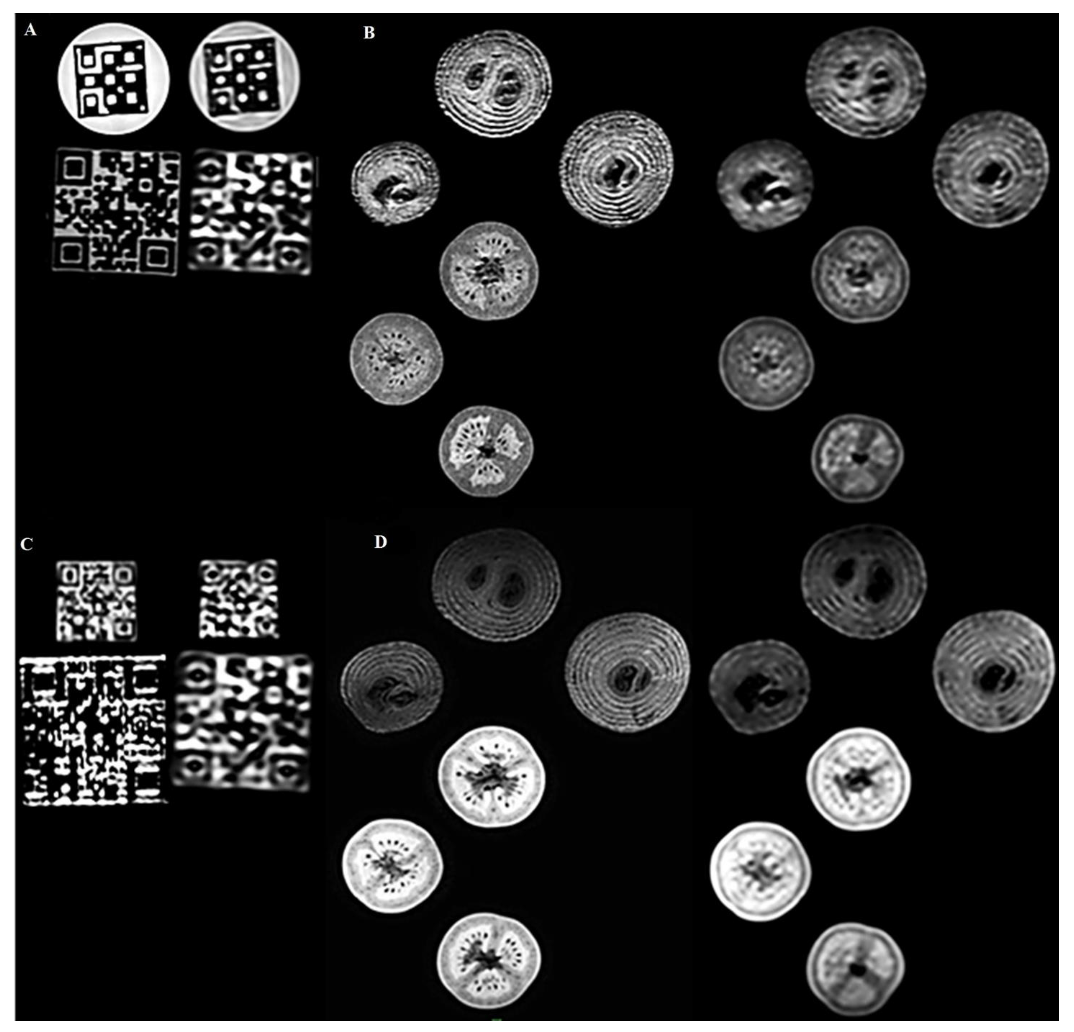 Diagnostics 12 02196 g004 Diagnostics 12 02196 g004